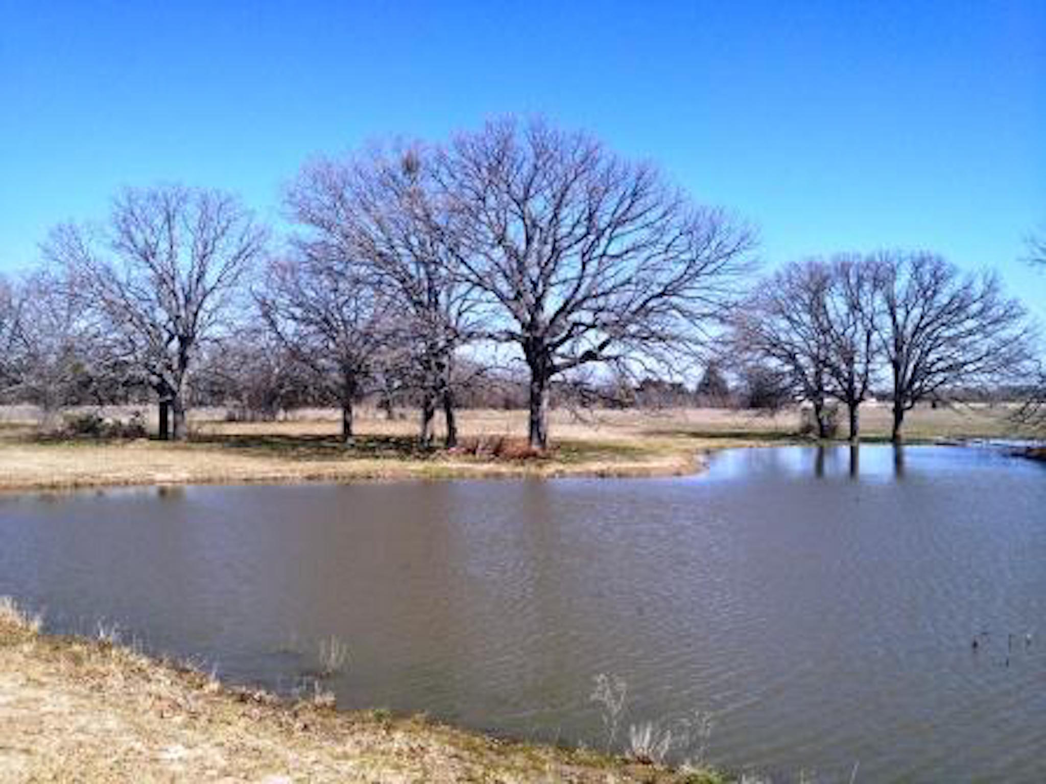 Police in Hunt County, Texas, are investigating after an image of two dead dogs was posted on Facebook