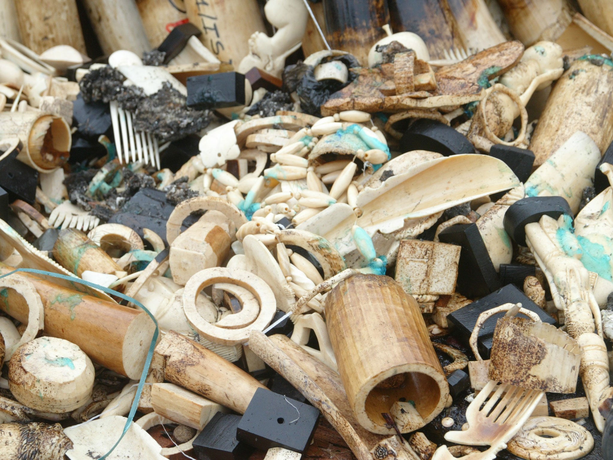 Five tons of illegal ivory waits to be burned in Gabon 