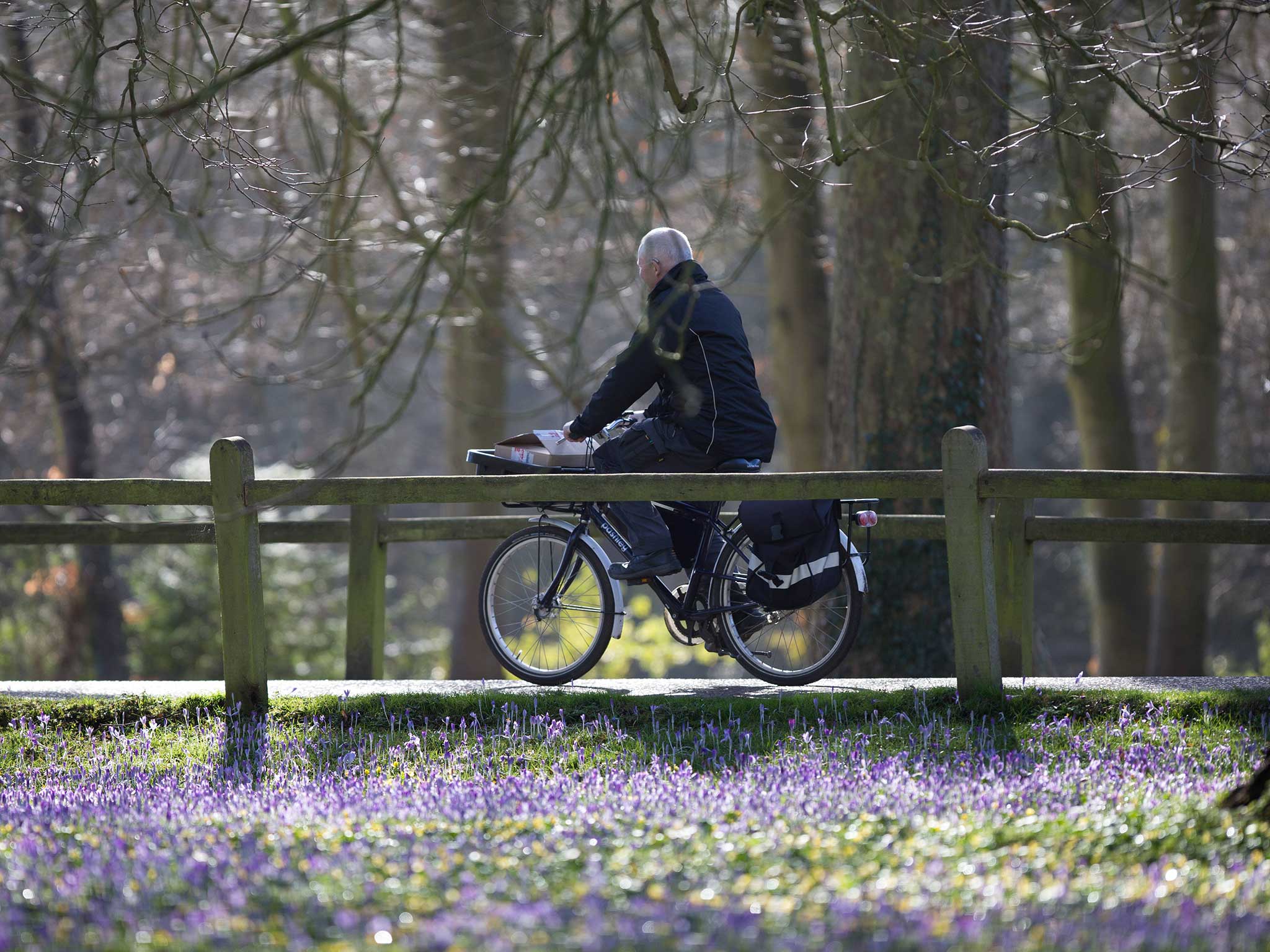 A man cycles through Hyde Park in February