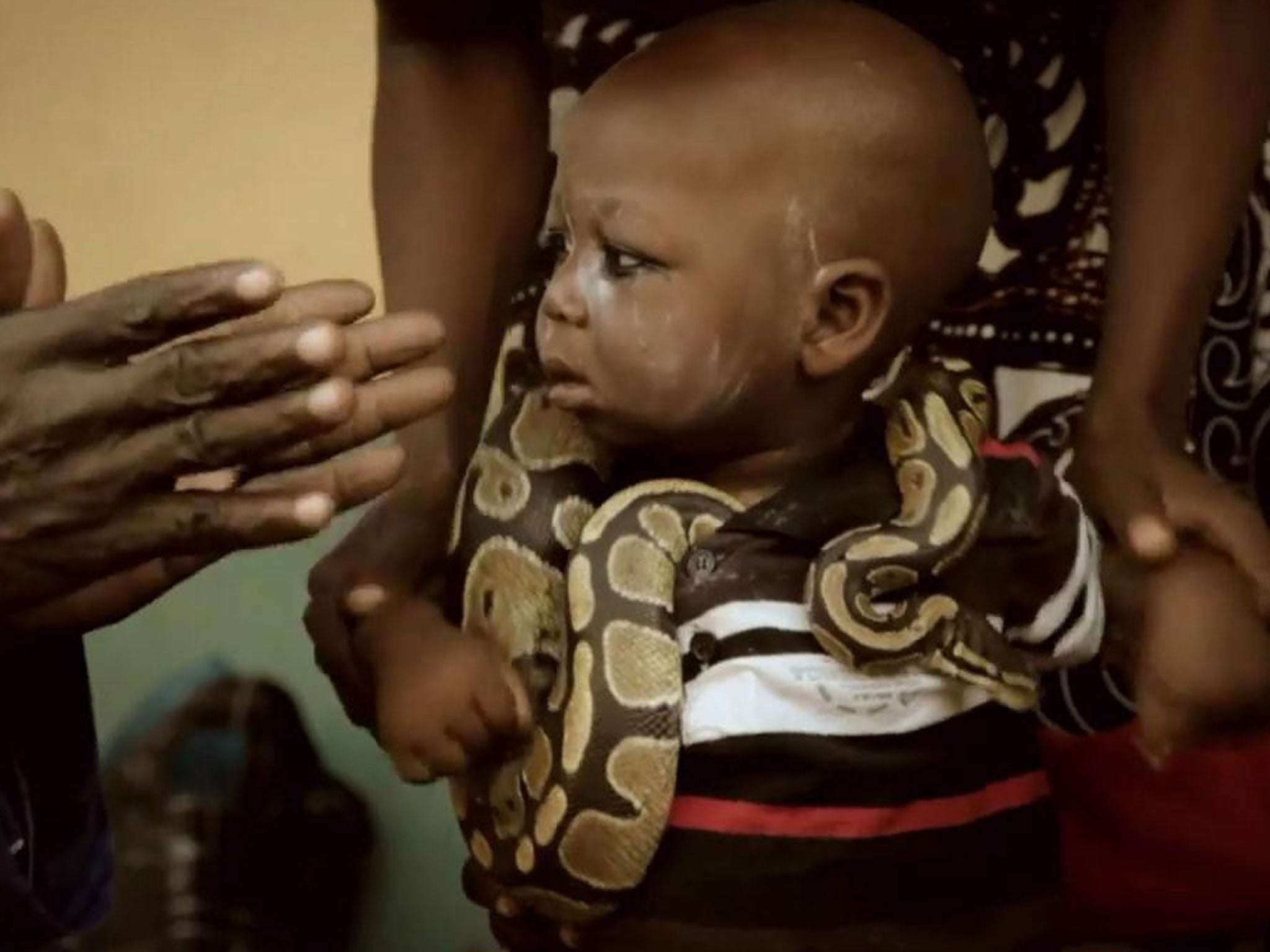 An infant being trained as a snake handler. Picture: Journeyman Pictures