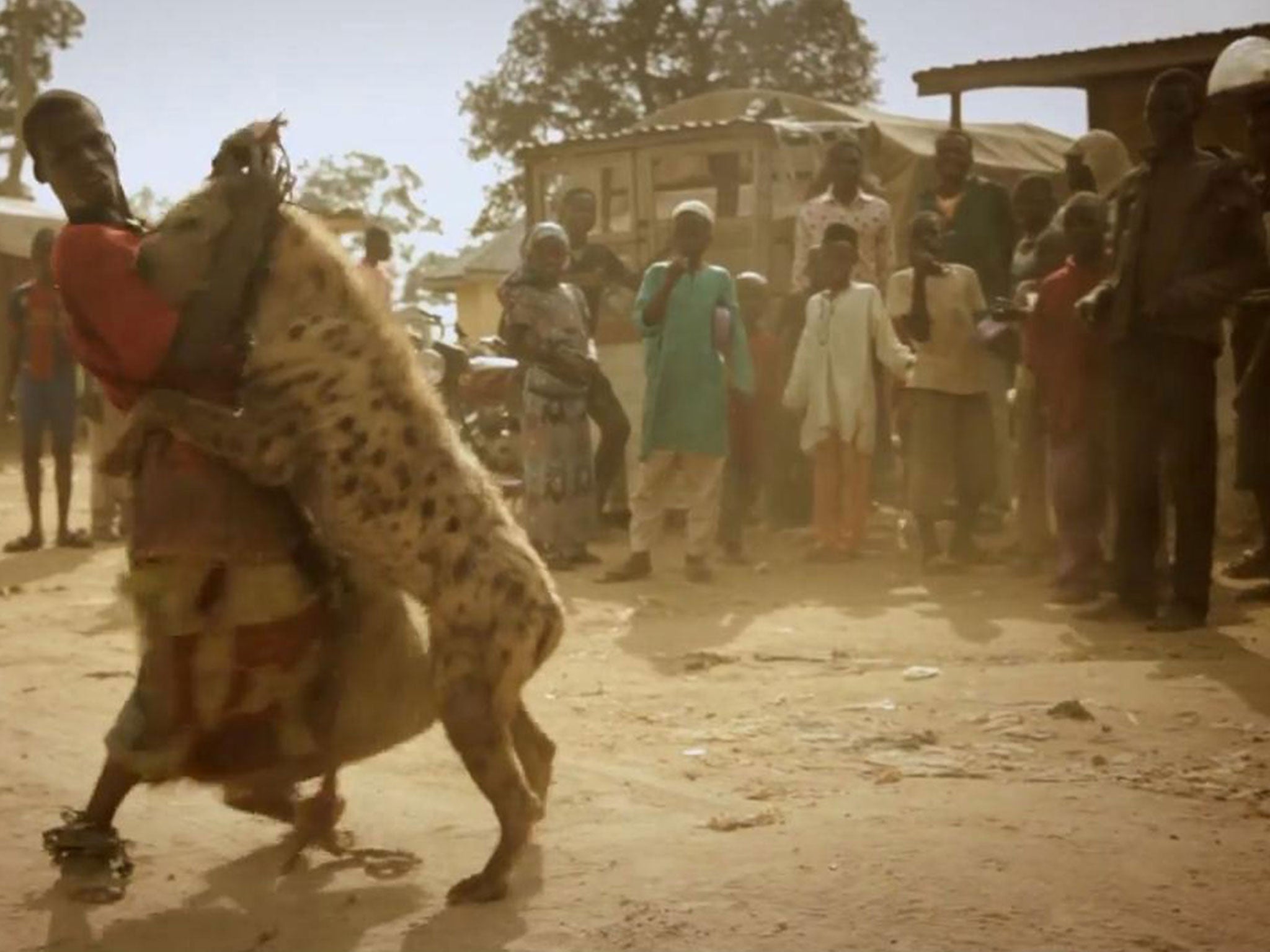 One of the 'hyena boys' in a show in Nigeria. Picture: Journeyman Pictures