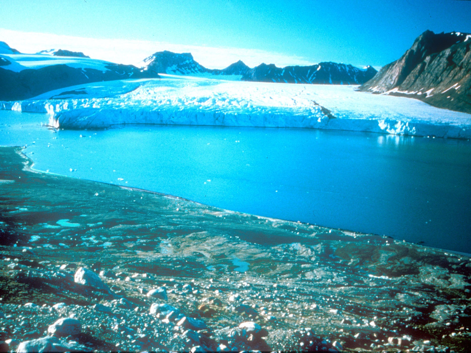 A funding institution created in 2012 to attract funds for environmental preservation and improvement, the Green Investment Bank is structured as a public limited company and owned by the Department for Business, Innovation and Skills.