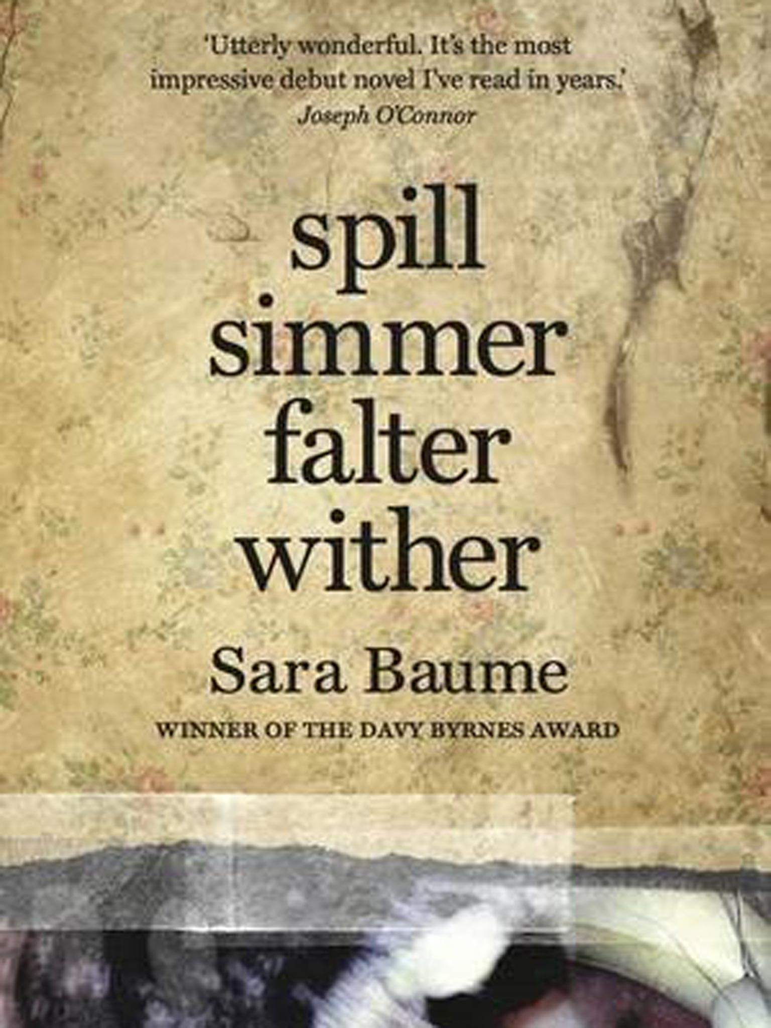 Sara Baume’s extraordinary debut Spill Simmer Falter Wither