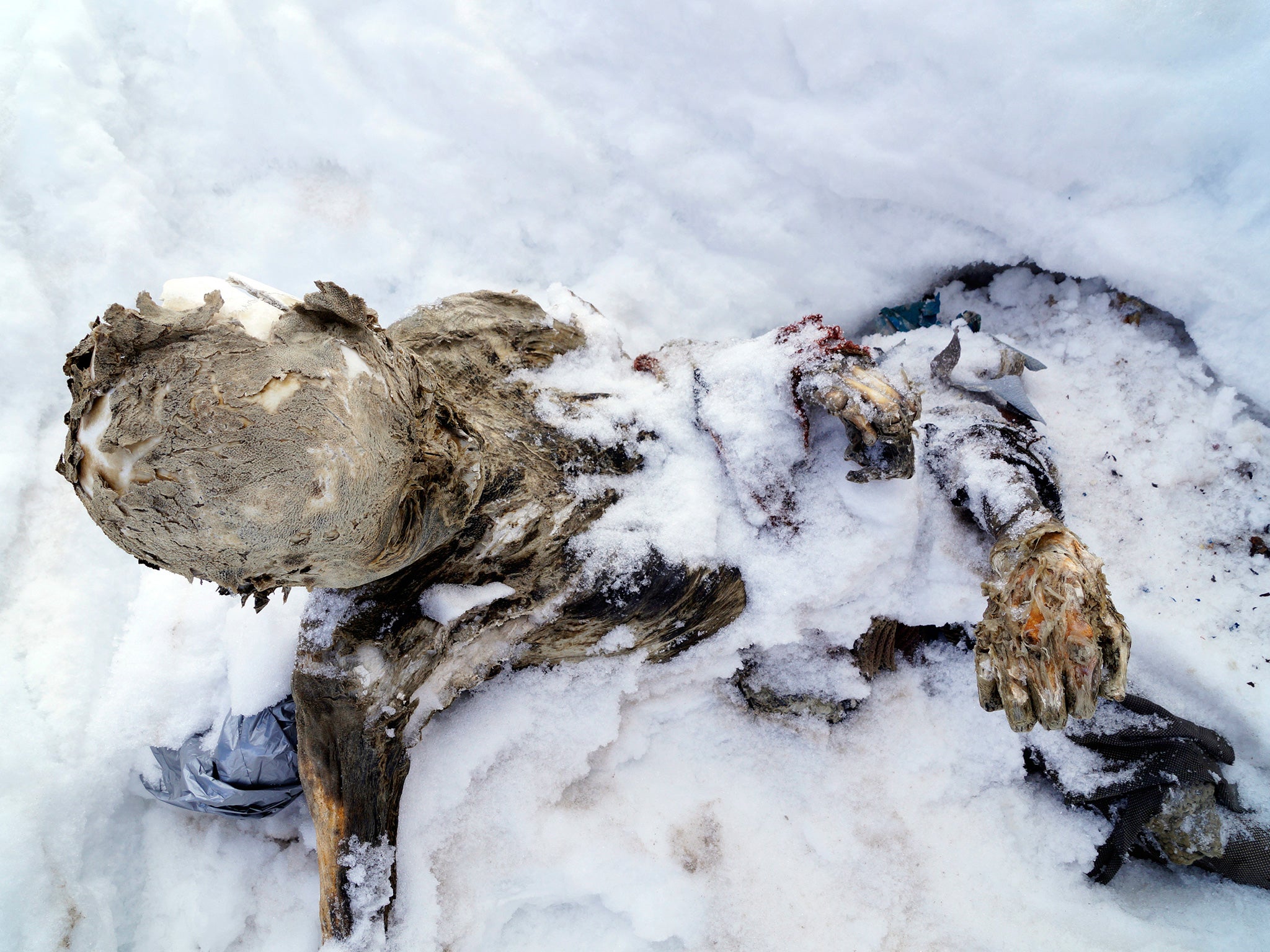 Two bodies were discovered by climbers on the Pico de Orizaba