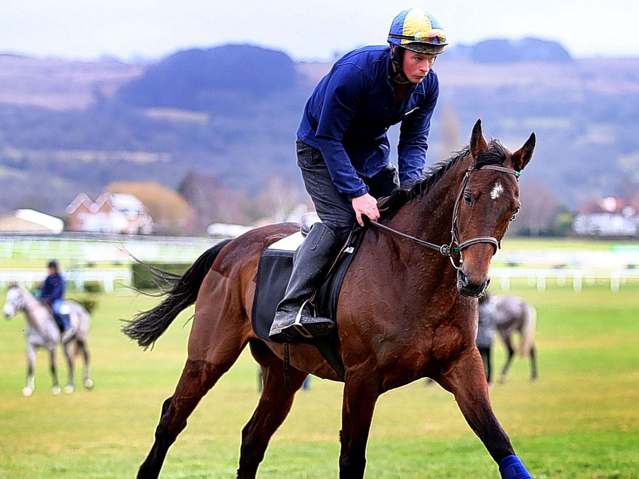 Hurricane Fly on the gallops at Cheltenham on Sunday