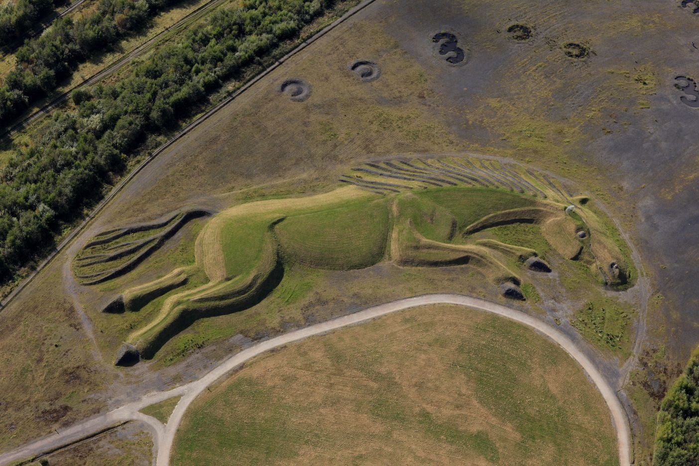 Sultan the pit pony, Penalta colliery,Wales