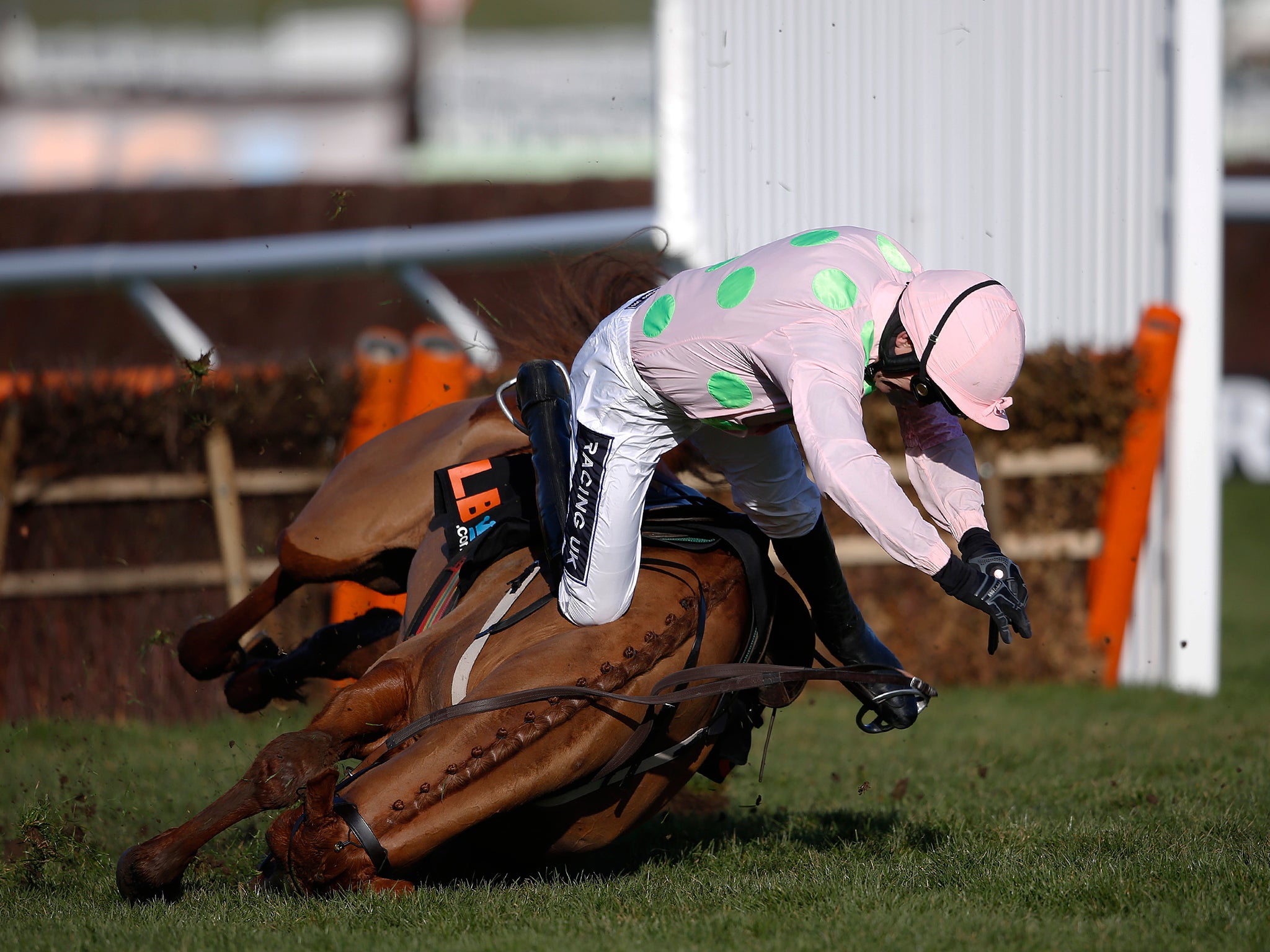 Annie Power falls