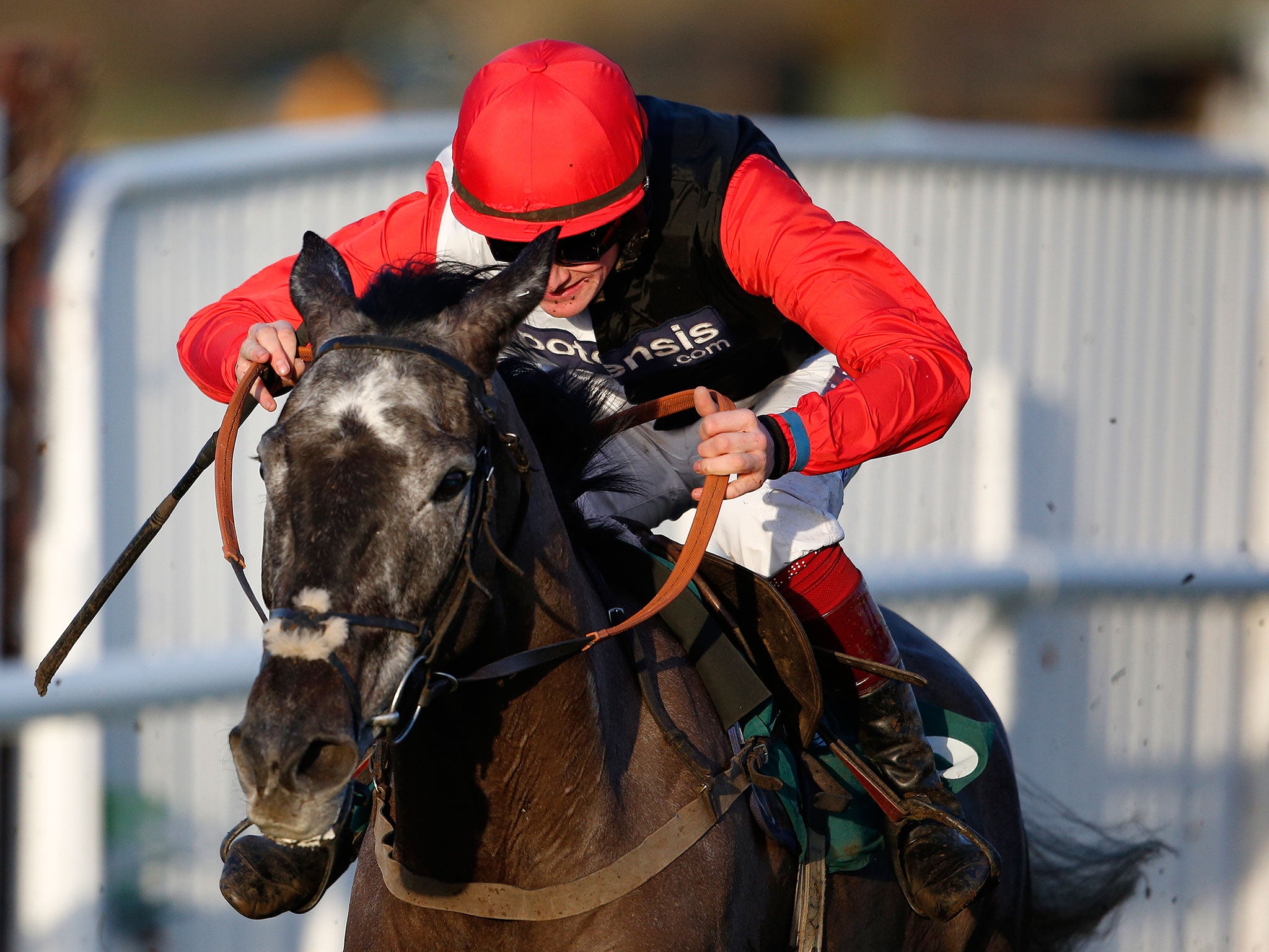 Sam Twiston-Davies riding Saphir Du Rheu clear the last to win The galliarhomes.com Cleeve Hurdle Race at Cheltenham back in January