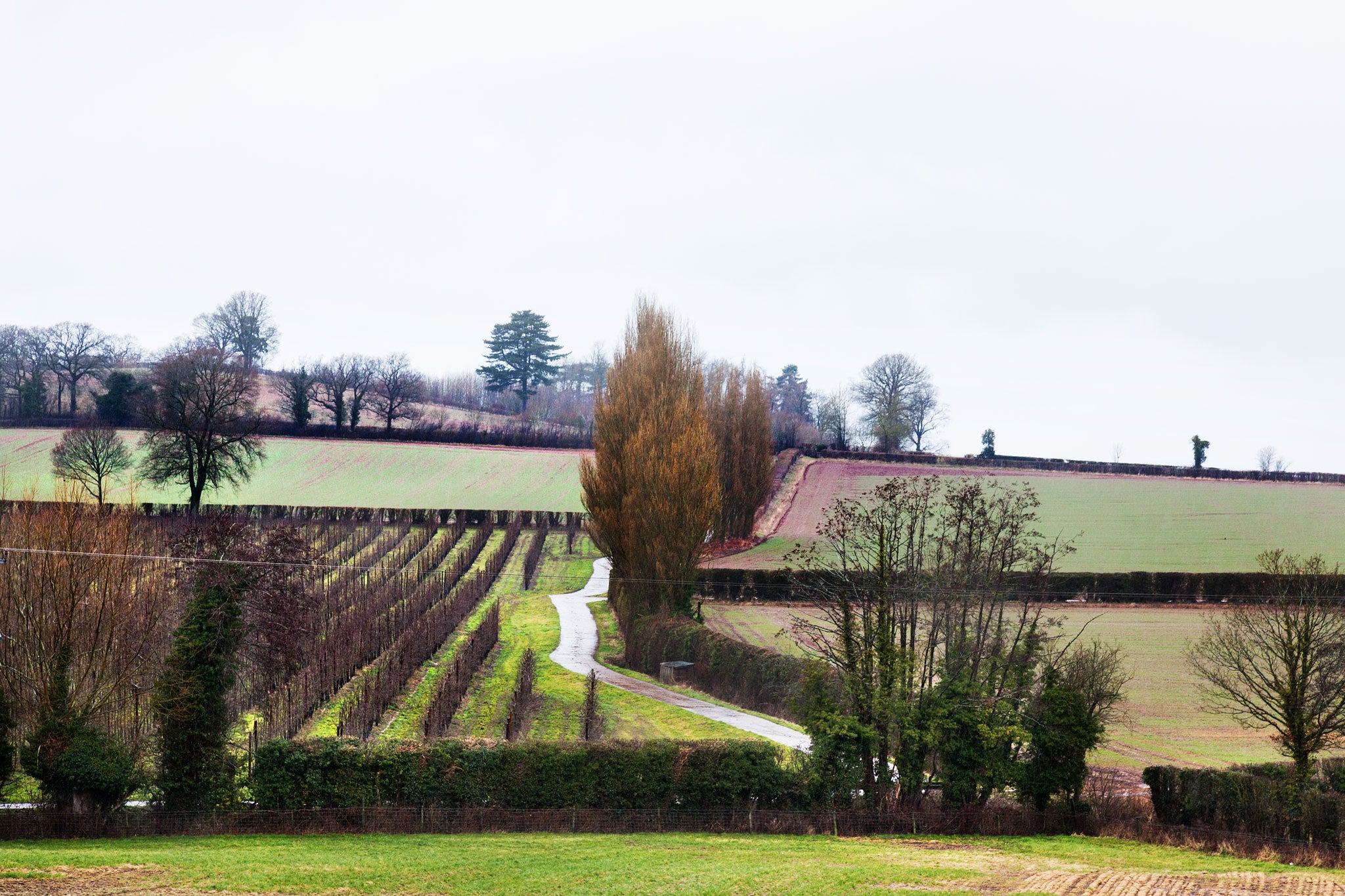 William set up a distillery on his farm near Hereford in 2008