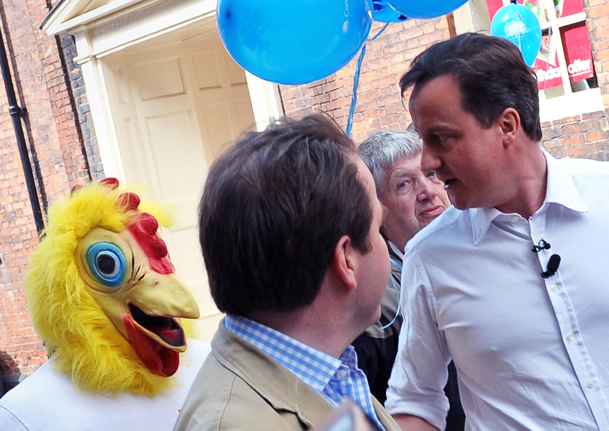 A chicken reacts to seeing a man dressed in a chicken outfit