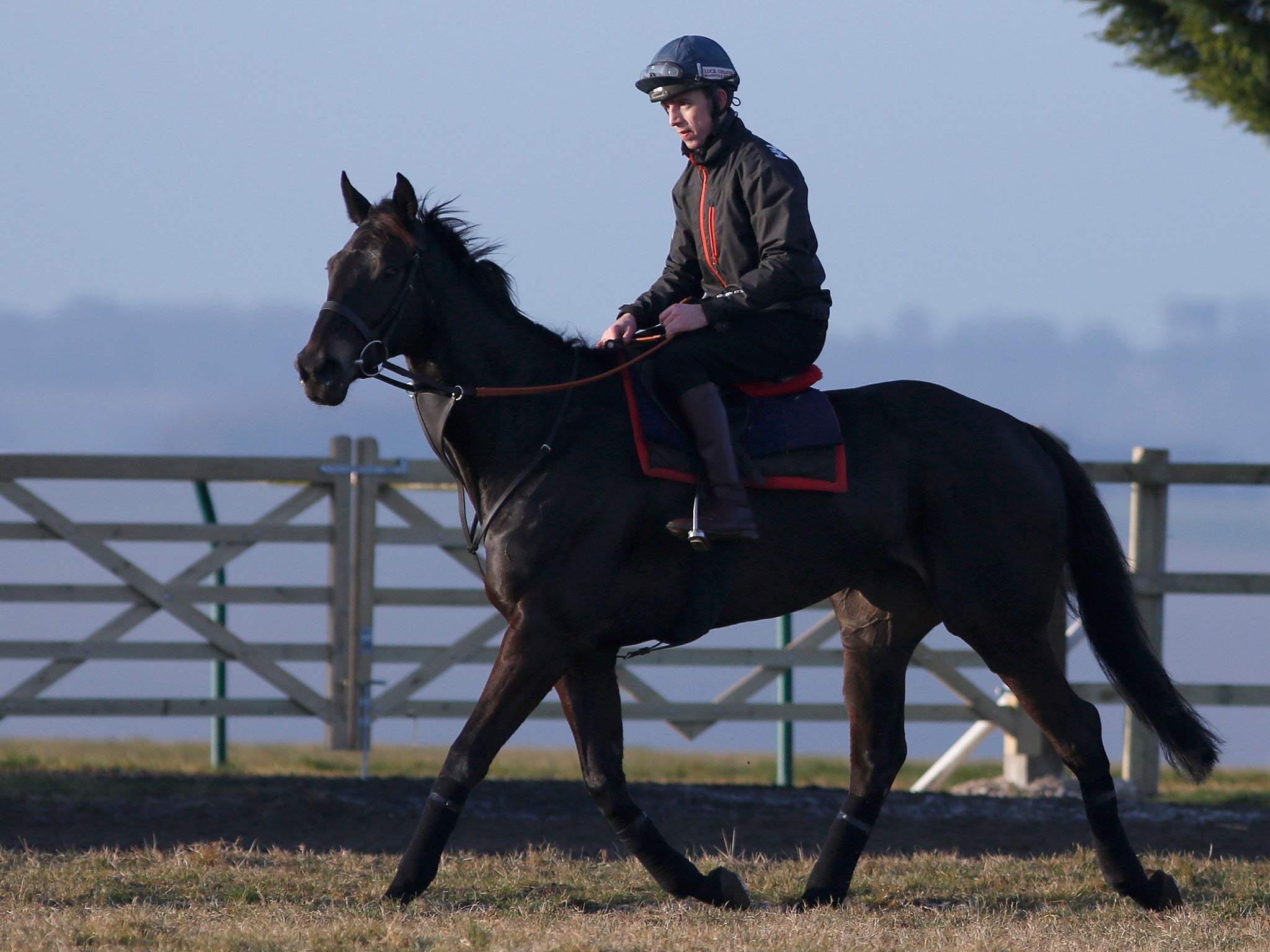 Many Clouds is at the forefront of the new troop