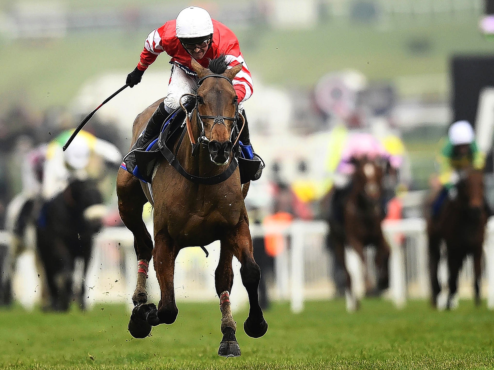 Coneygree and Nico de Boinville win the Gold Cup