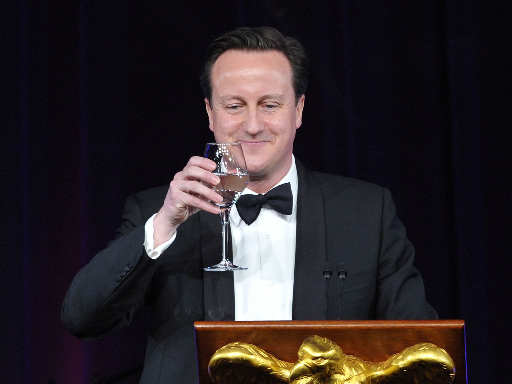 David Cameron has ruled out running for Prime Minister beyond 2020 (AFP/Getty)