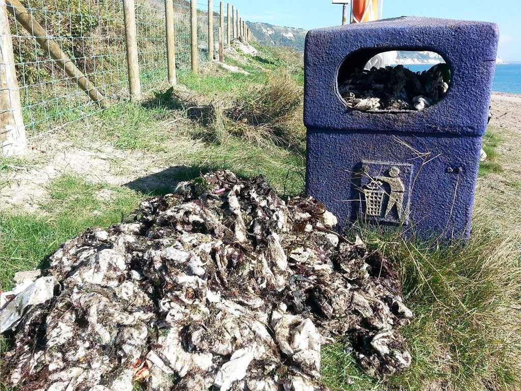 The UK's beaches are becoming increasingly littered with wet wipes that people are flushing down the toilet