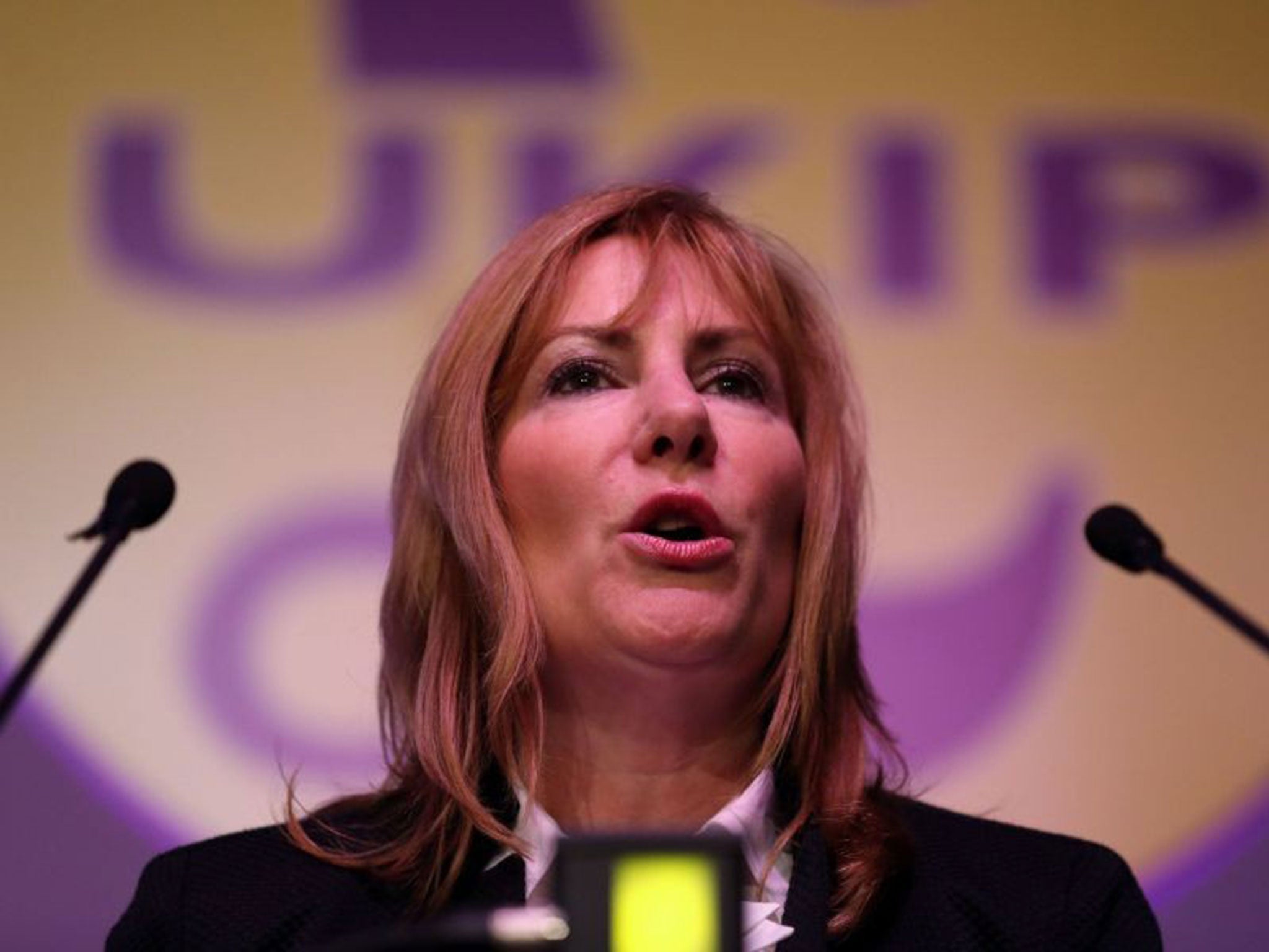 Janice Atkinson speaking to Ukip supporters in February