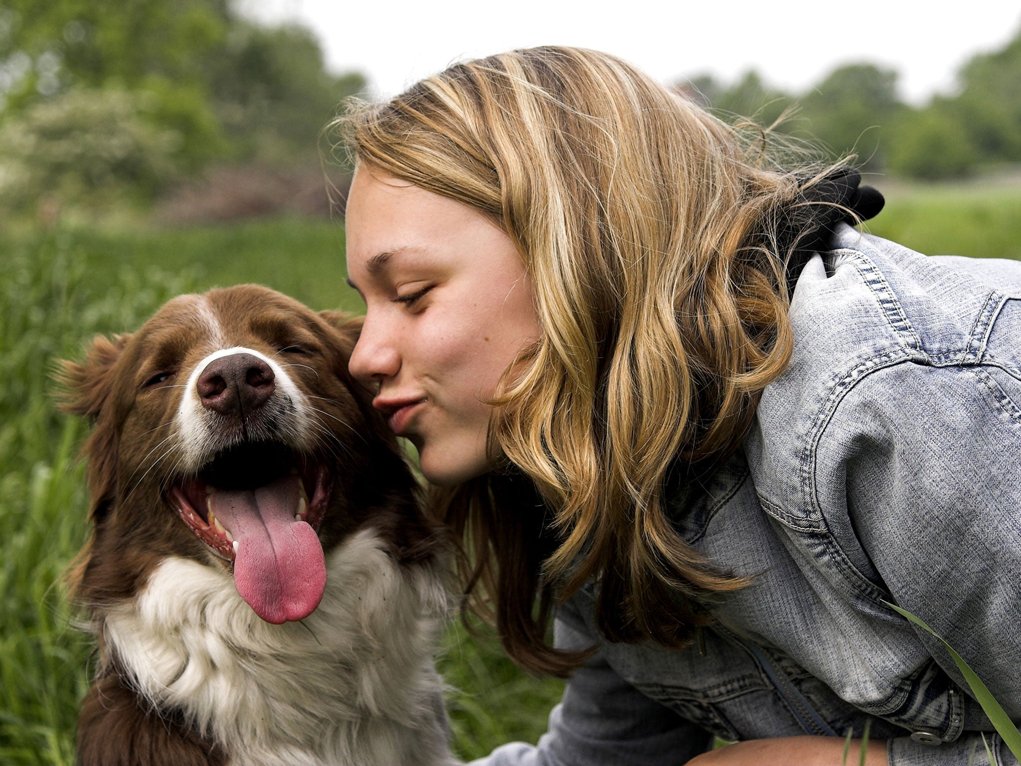 Previous research has shown that dogs and their owners share much of the same gut bacteria over time