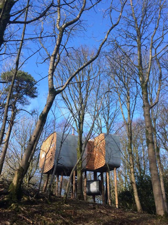 The treehouse awaits the arrival of spring