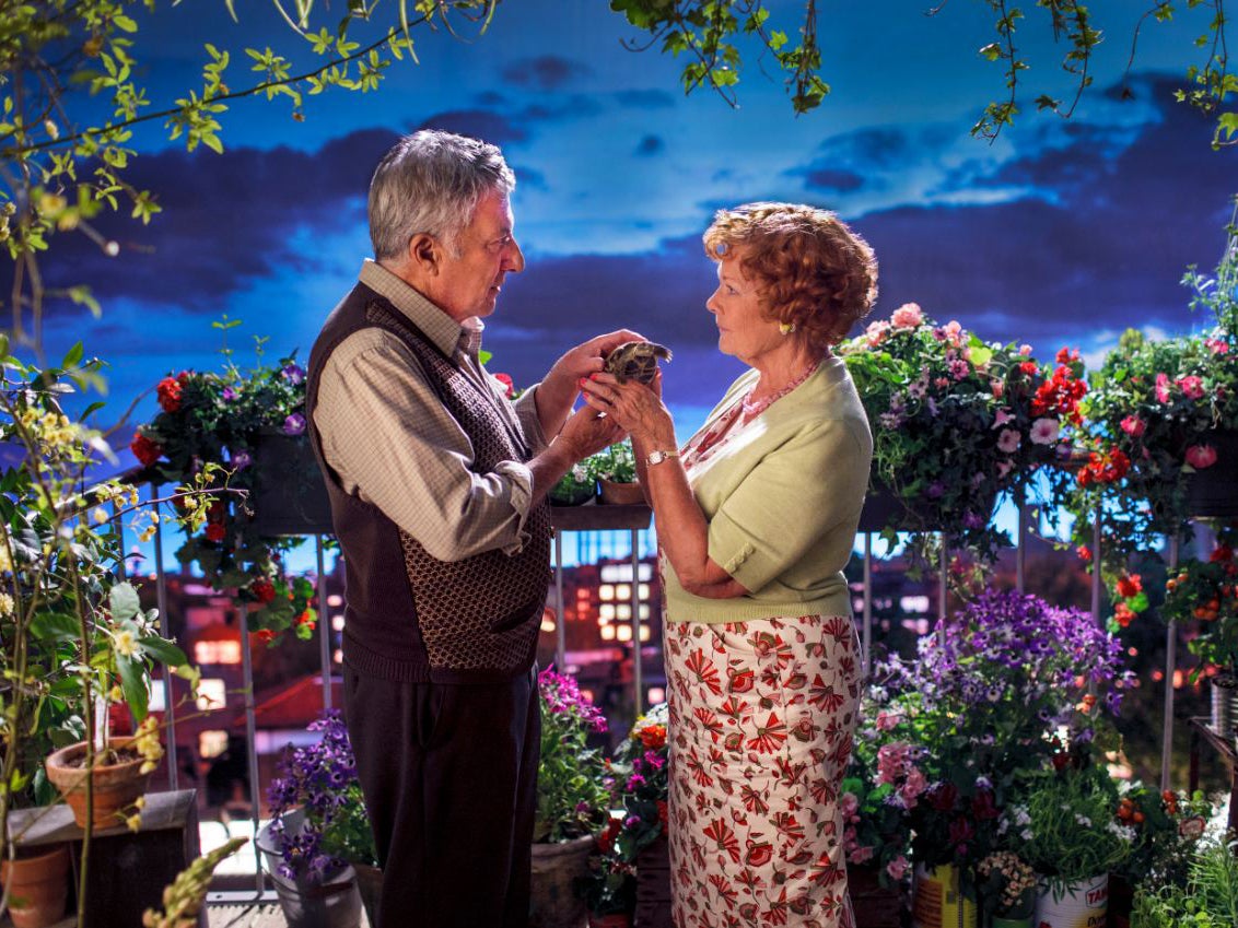 Dustin Hoffman, Judi Dench and a tortoise in Esio Trot