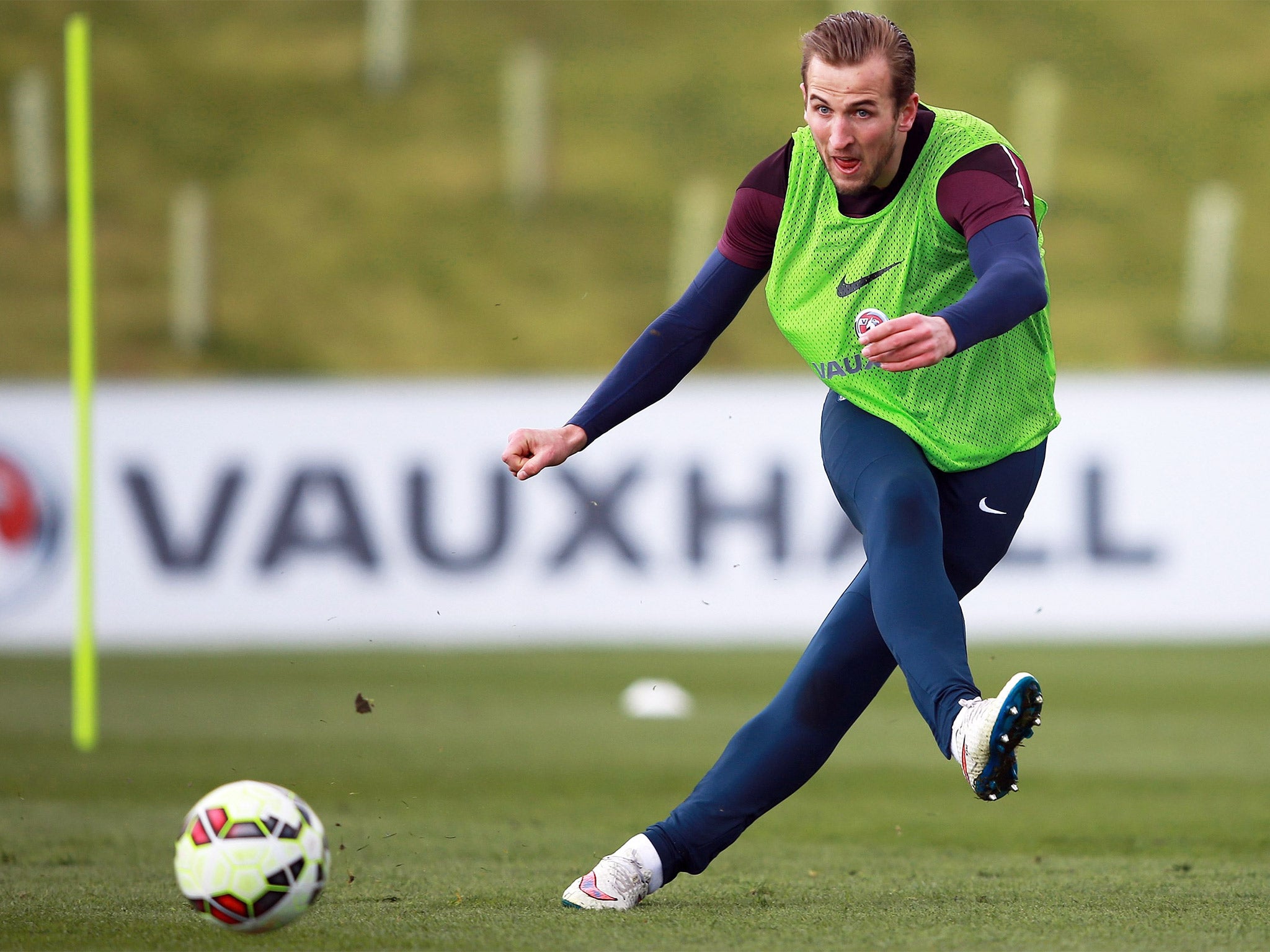 Roy Hodgson urged the public not to rush to judgement on Harry Kane's England prospects