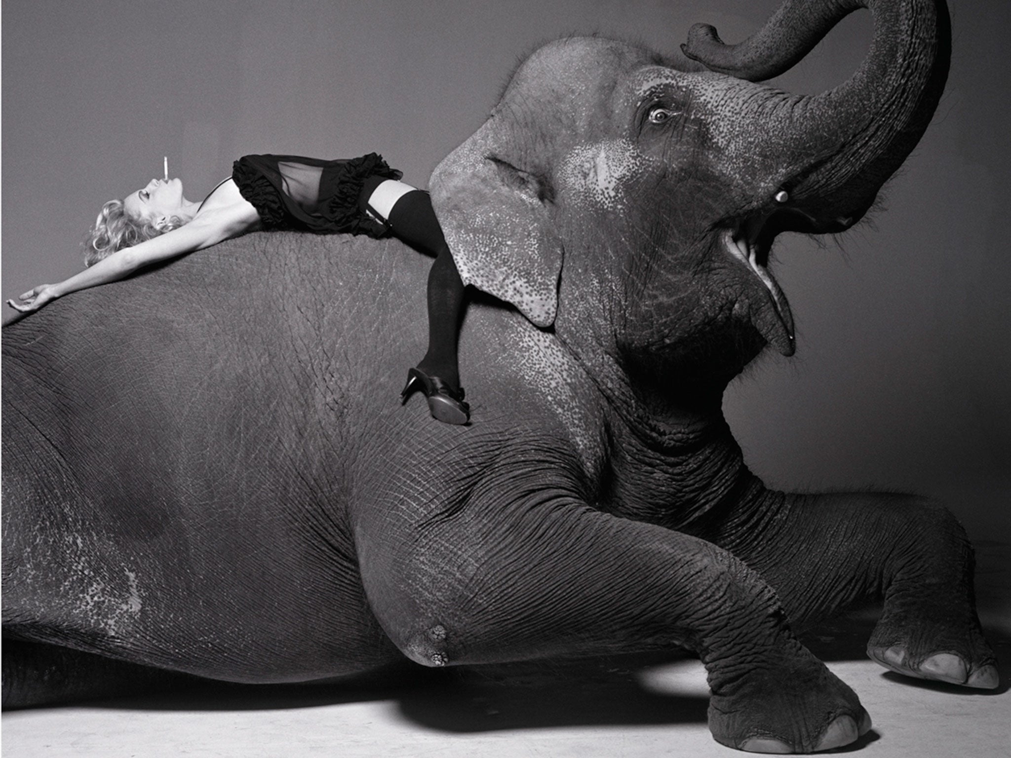 Darryl Hannah on elephant (1992) by Michel Comte