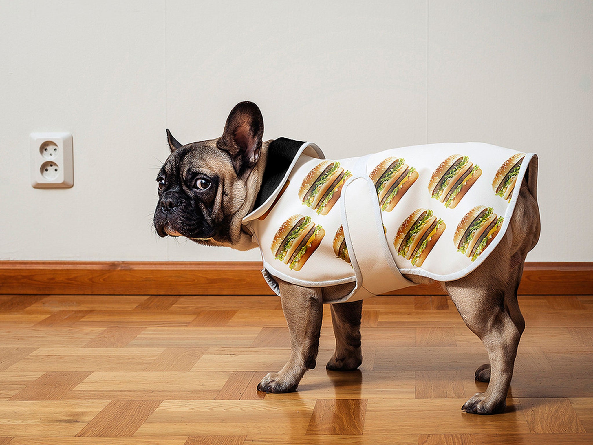 Big Mac dog coat