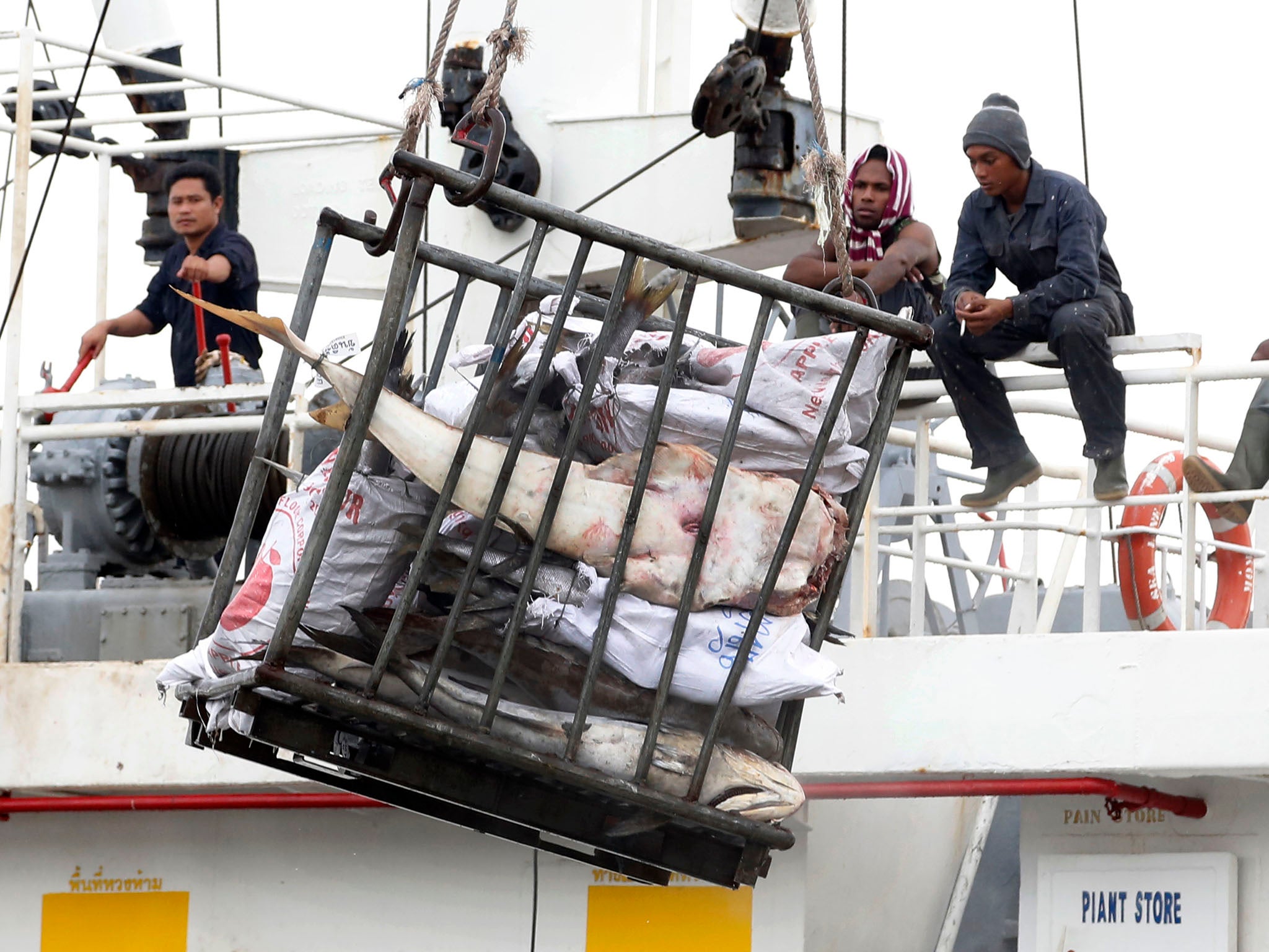 Workers in Benjina, Indonesia, load fish onto a cargo ship bound for Thailand