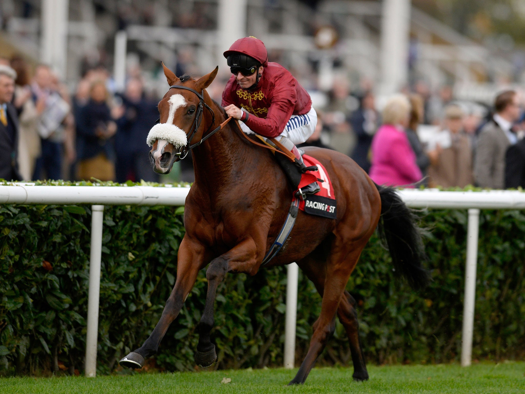 Elm Park, winner of the Racing Post Trophy, is the leading English-trained hope for the Derby