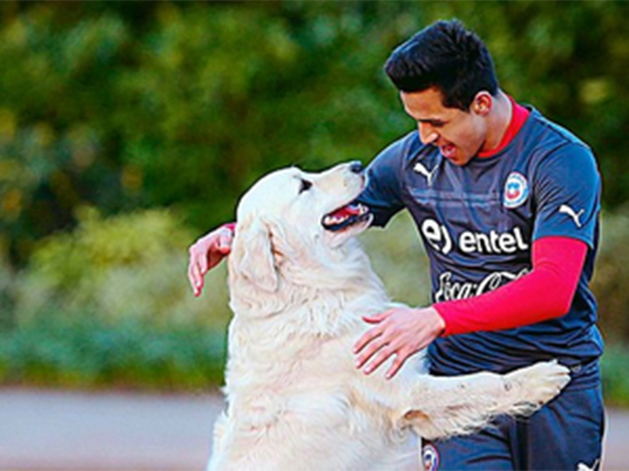 Alexis Sanchez trains with his dog