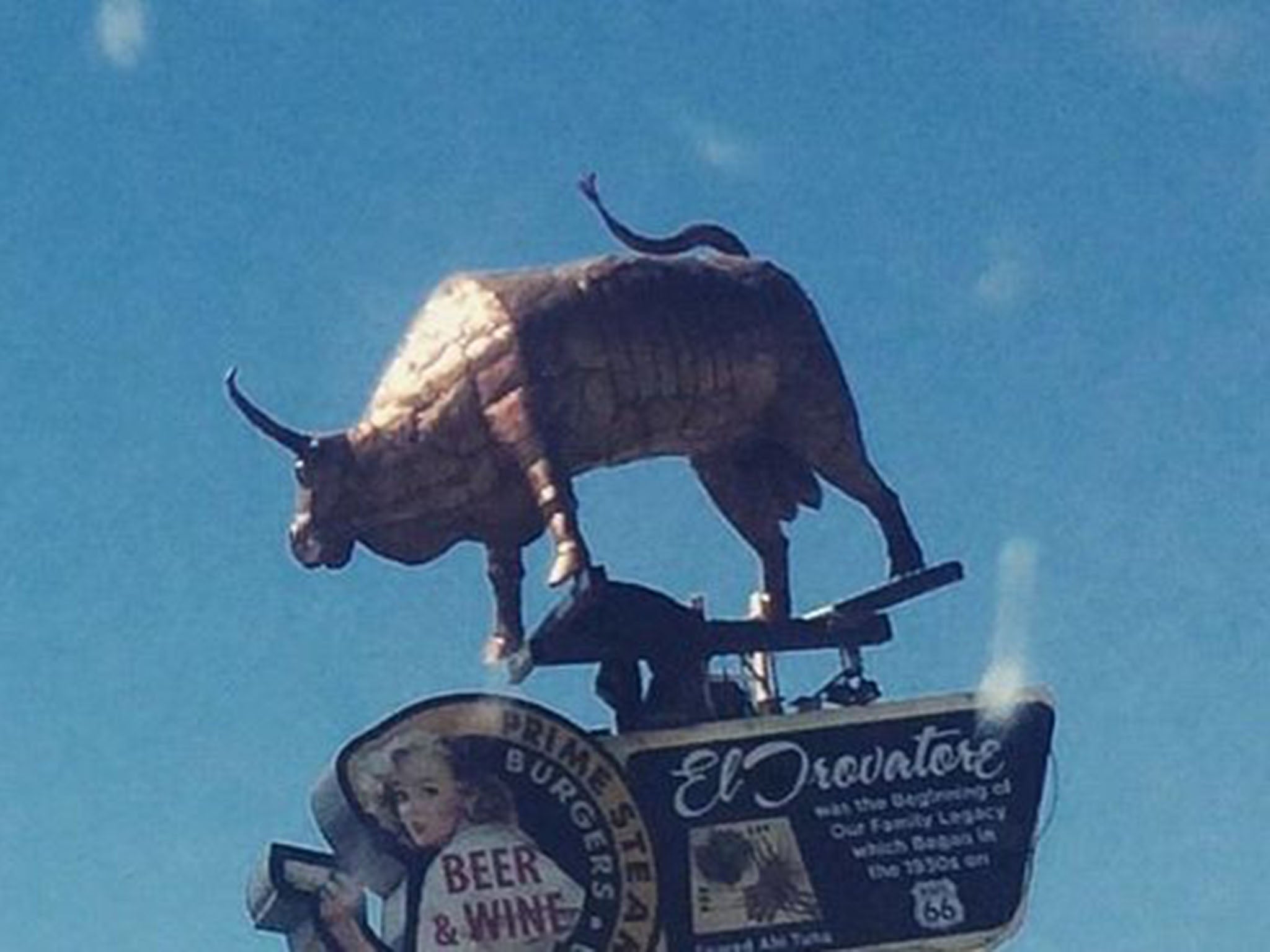 The Barista’s bull is seen without the “cone-shaped” genitalia