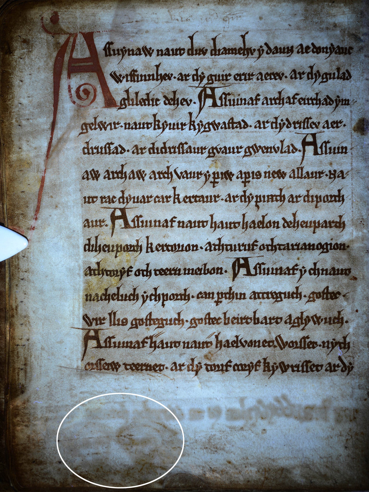 The faces, circled, on the the manuscript page