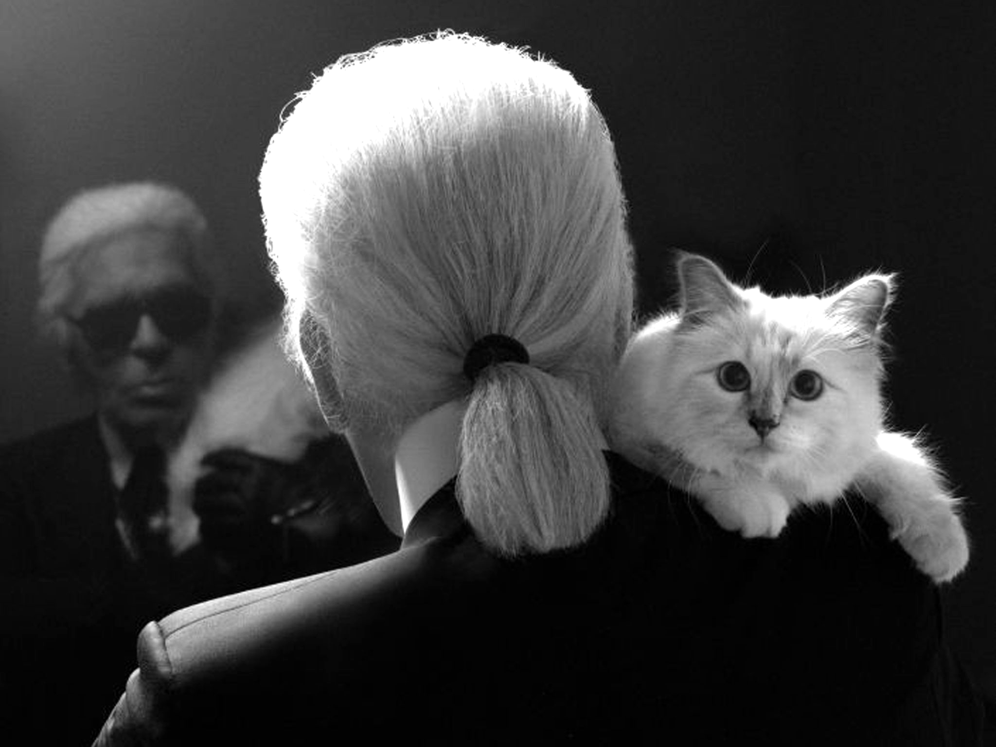 Karl Lagerfeld with his beloved cat Choupette