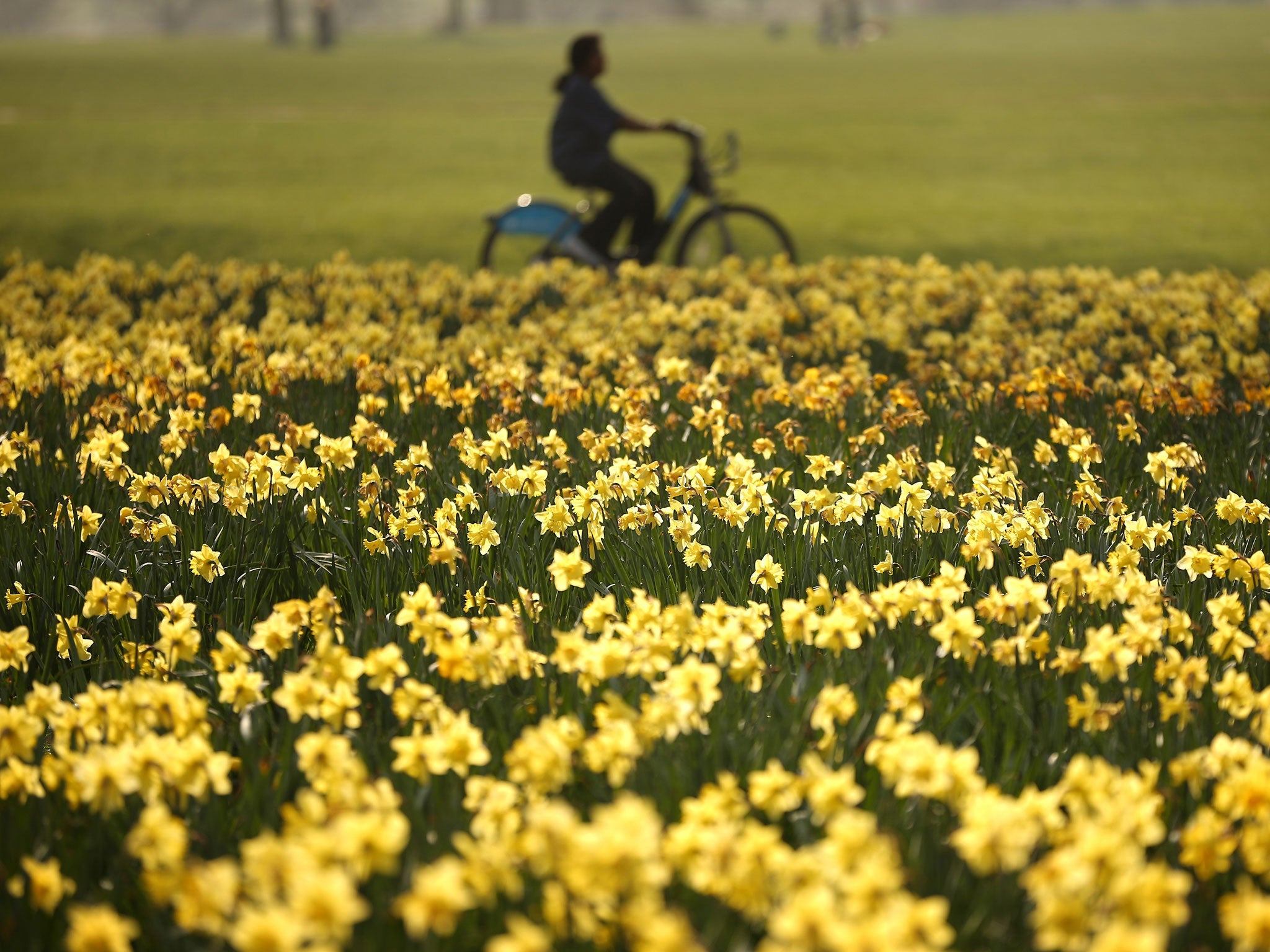 Cycle-friendly cities could tackle both obesity and climate change (Photo: Getty Images)