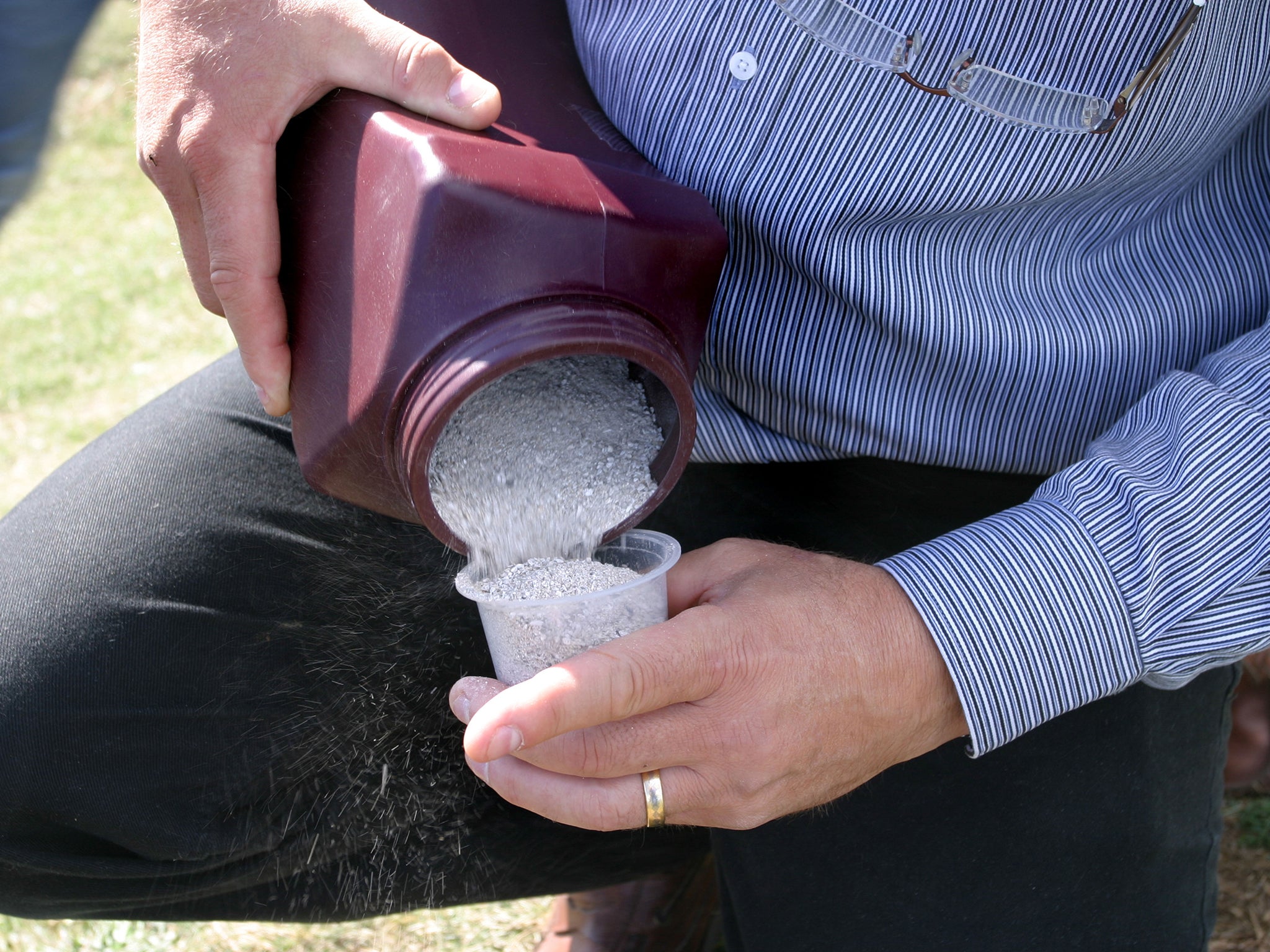 More than 700 babies up to six months old had their ashes scattered or buried without their parents’ knowledge between 2008 and 2013