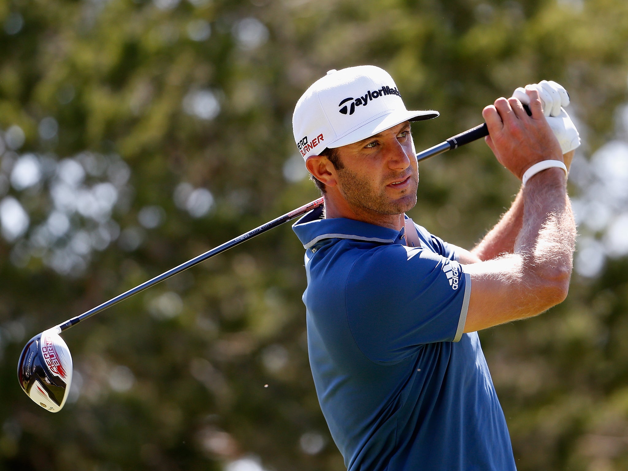 Dustin Johnson