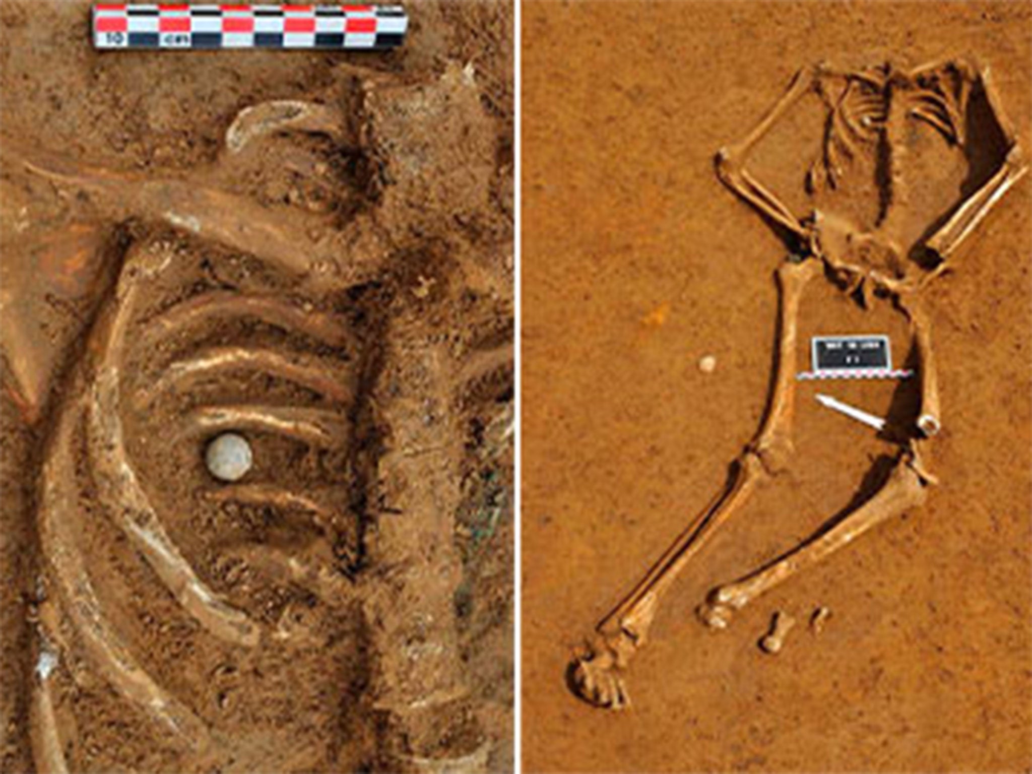 The skeleton of a soldier killed in the Battle of Waterloo, is pictured at the site where the bones were found, in this handout photo taken June 5