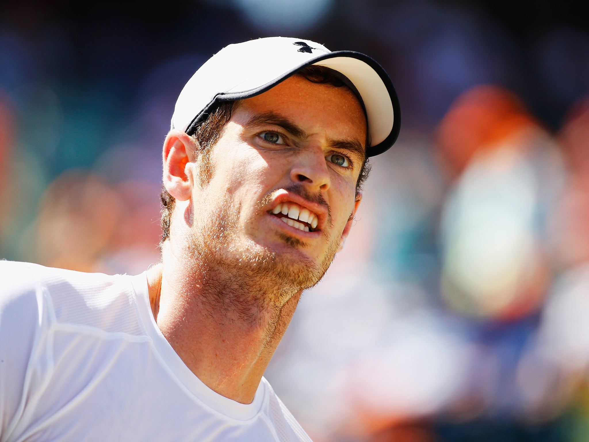 Andy Murray in the Miami Open final