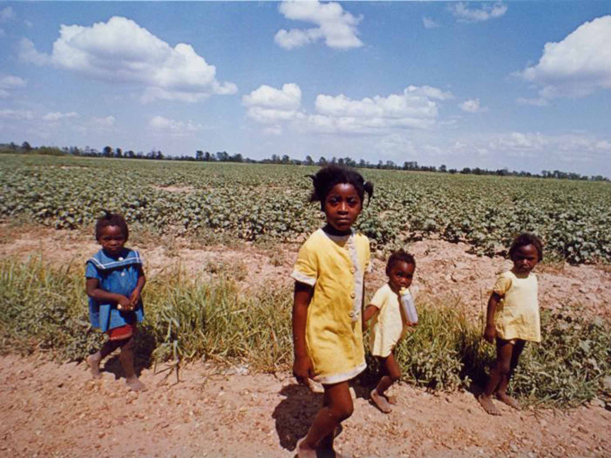 'Untitled' (from the 'Troubled Waters' portfolio) by William
Eggleston (1980)