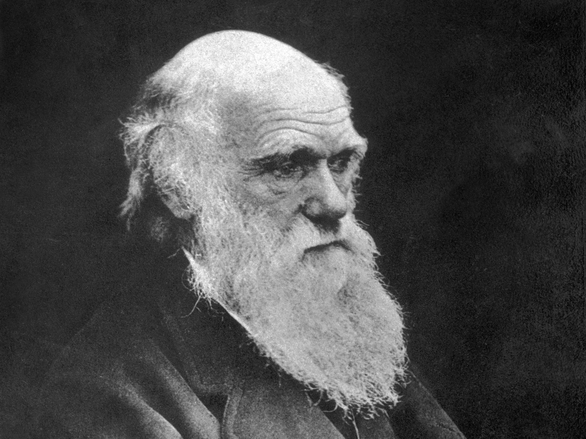 Making connections: British scientist Charles Darwin (Getty)