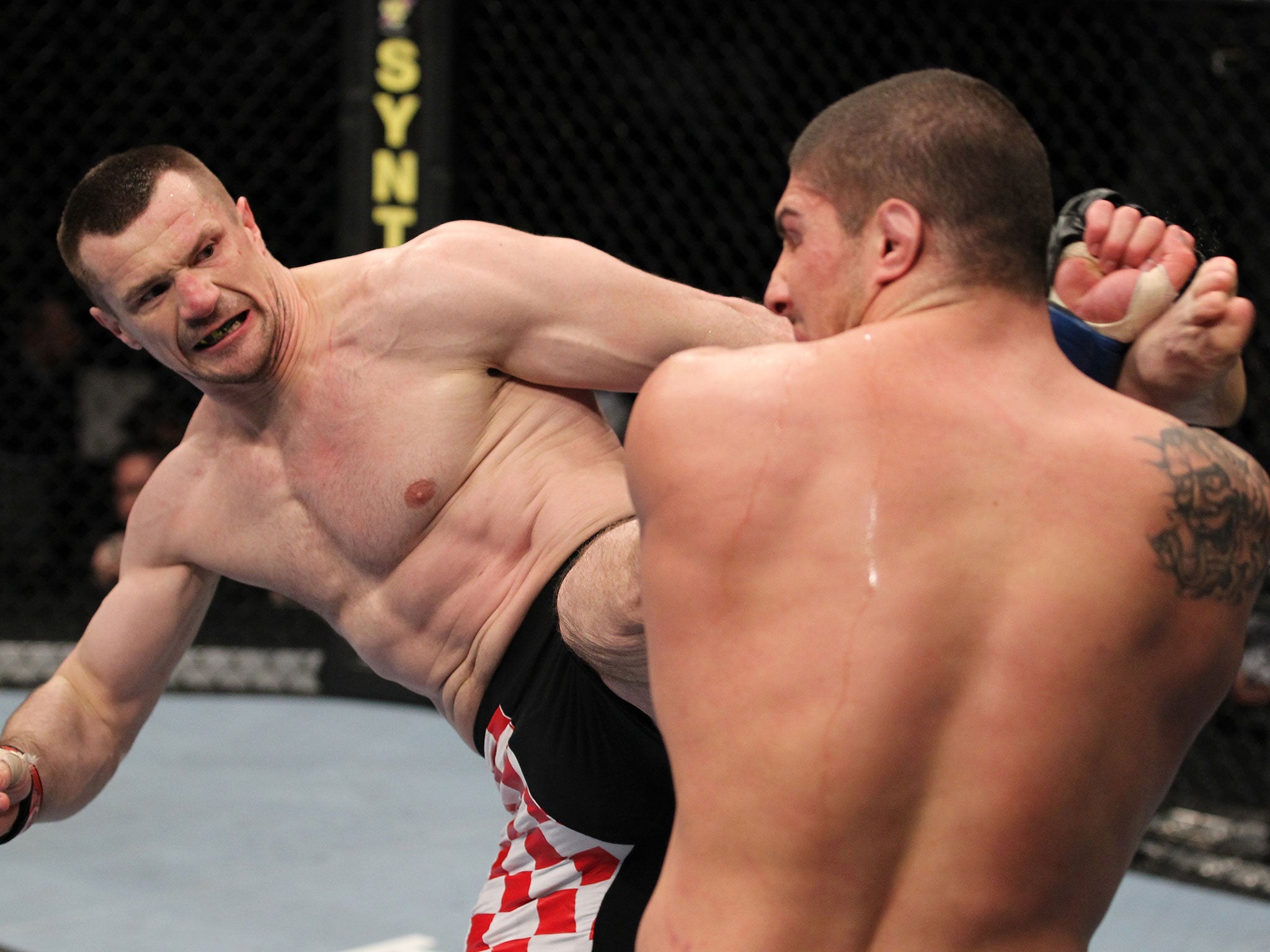 Mirko Crocop kicks Brendan Schaub (JOSH HEDGES / ZUFFA / LLC)