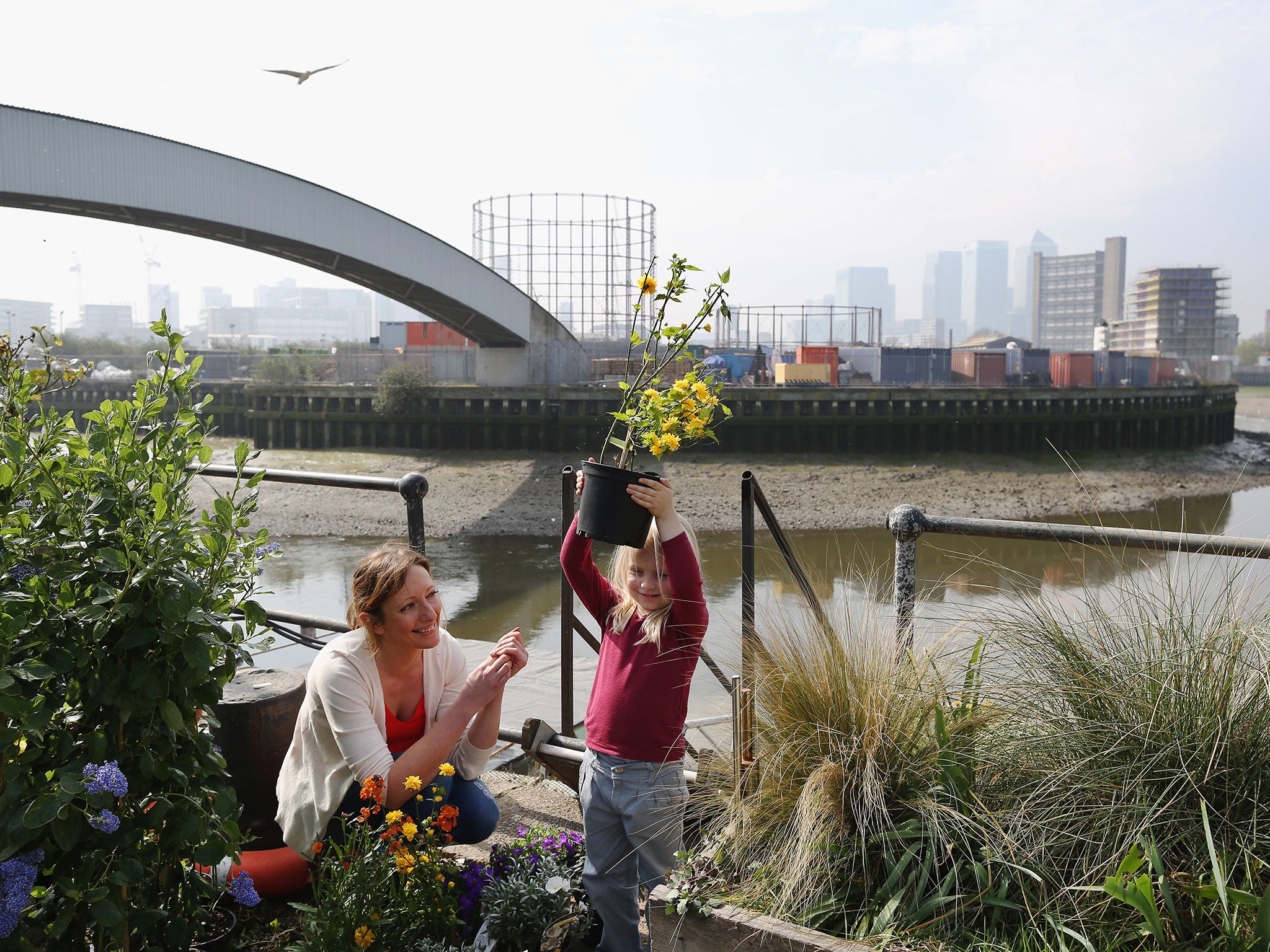 Cody Dock in London has recently undergone a transformation (Royal Horticultural Society)