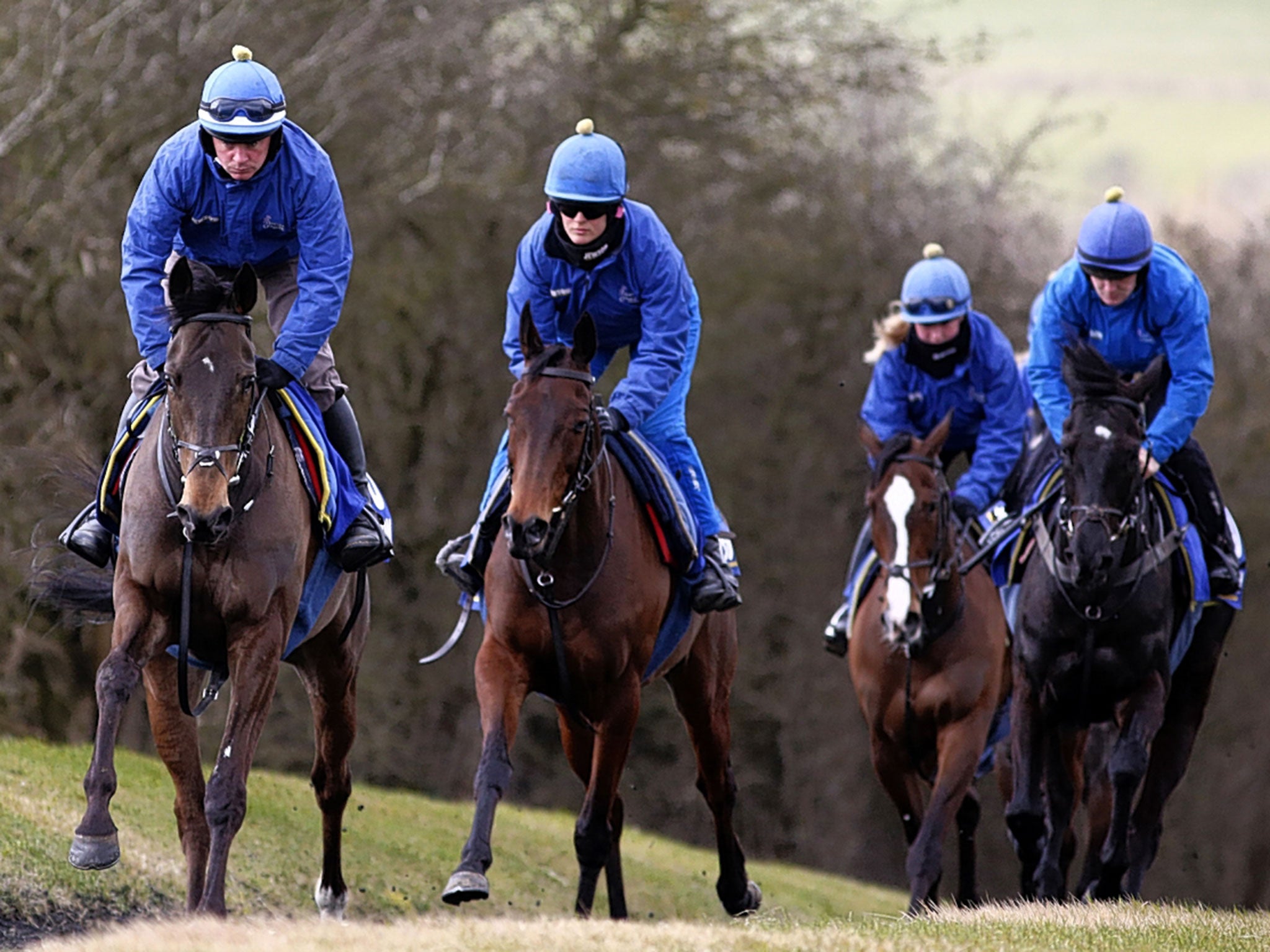 Shutthefrontdoor (left) on the gallops at trainer Jonjo O’Neill’s Jackdaws Castle stables this month