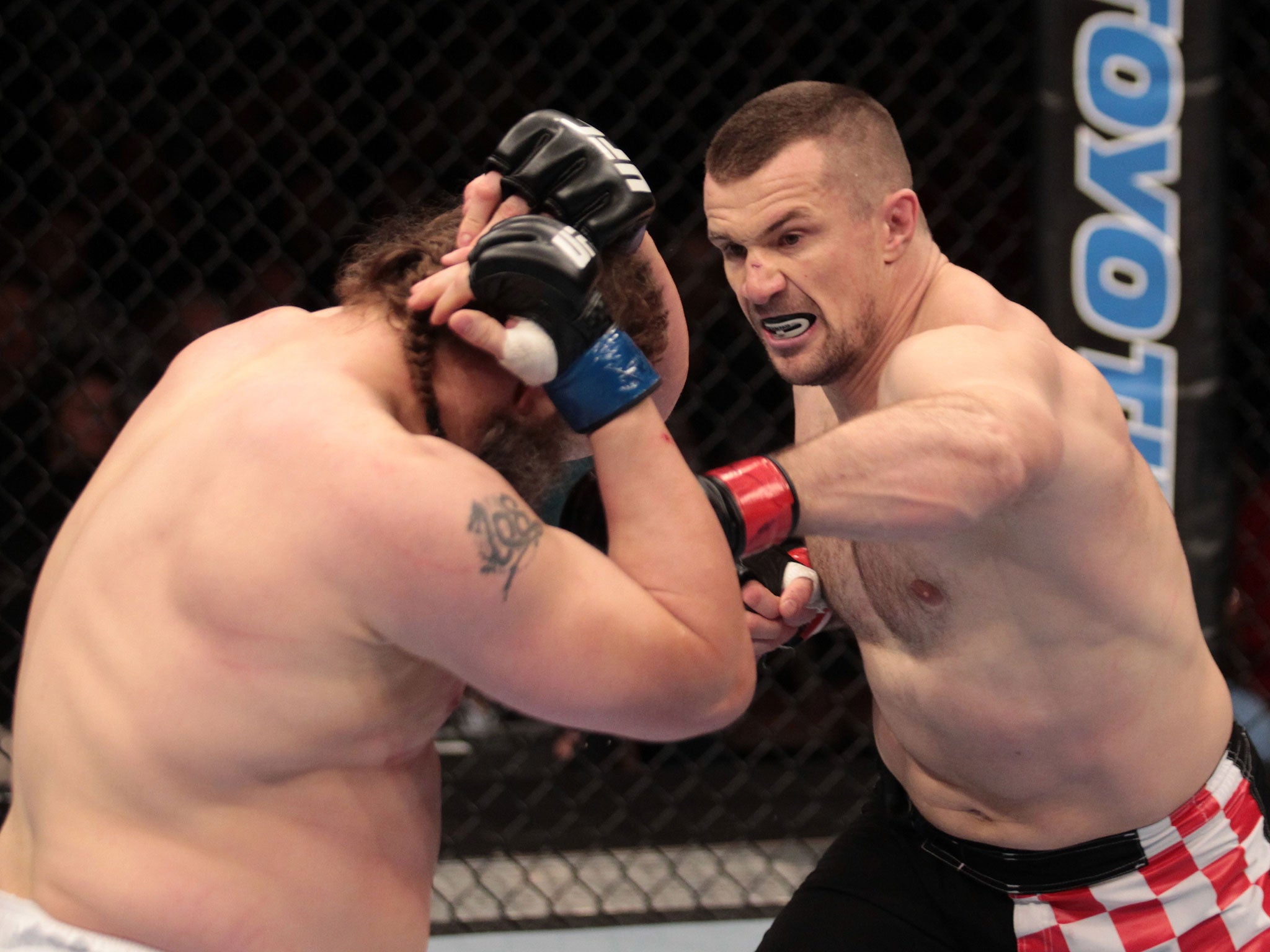 Mirko Cro Cop (right) in action