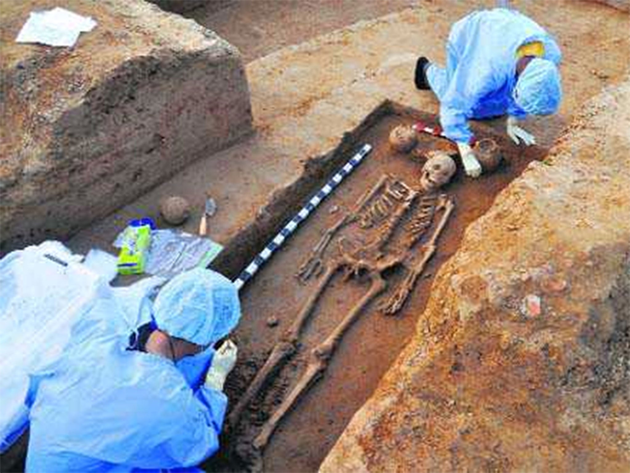 Image taken by excavation team shows skeletons discovered in an ancient cemetery in Rakhigarhi village of Hisar, India