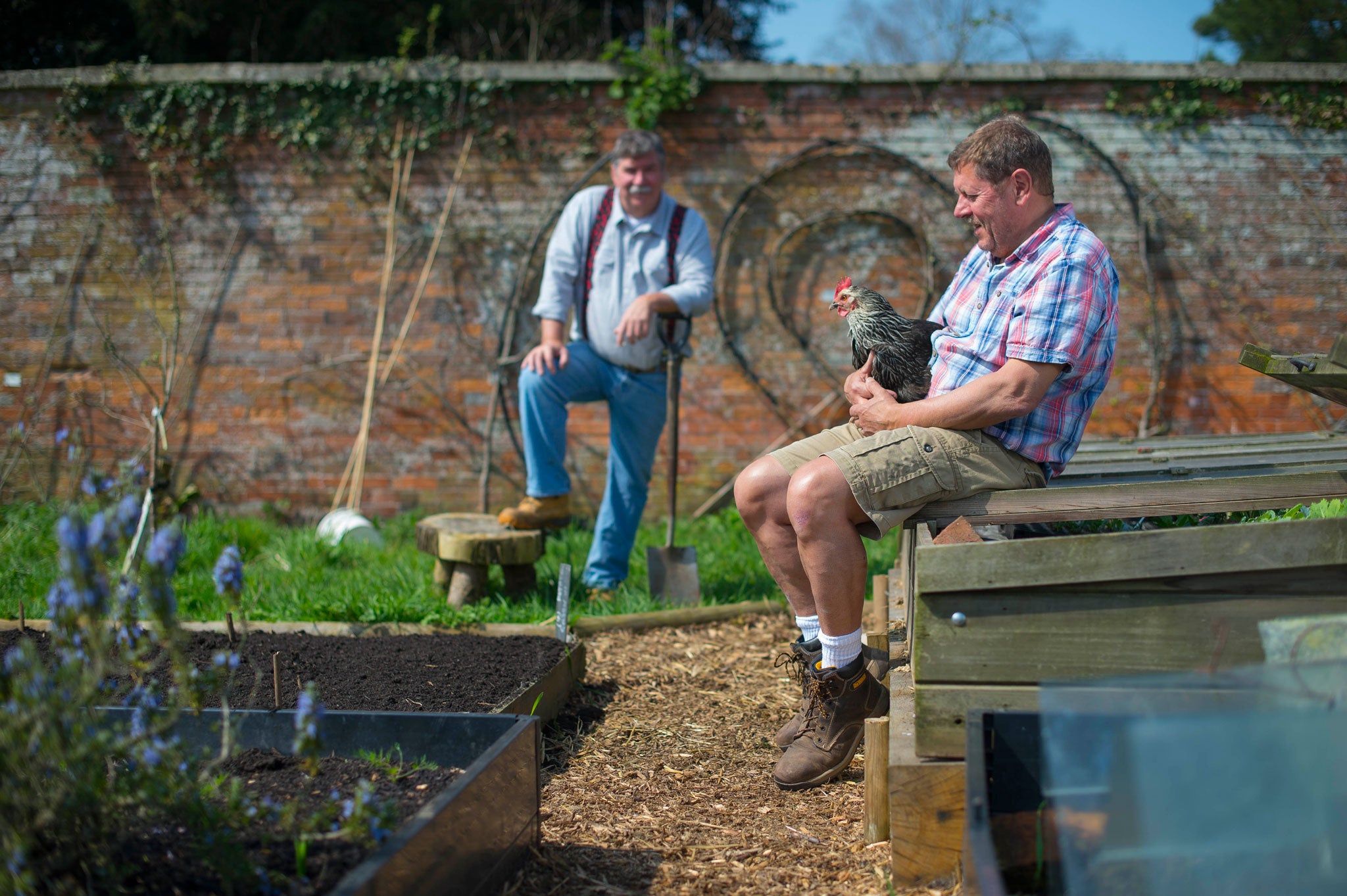 The nursery sits inside the tall, red-brick walls of the kitchen garden that once belonged to Pennard House