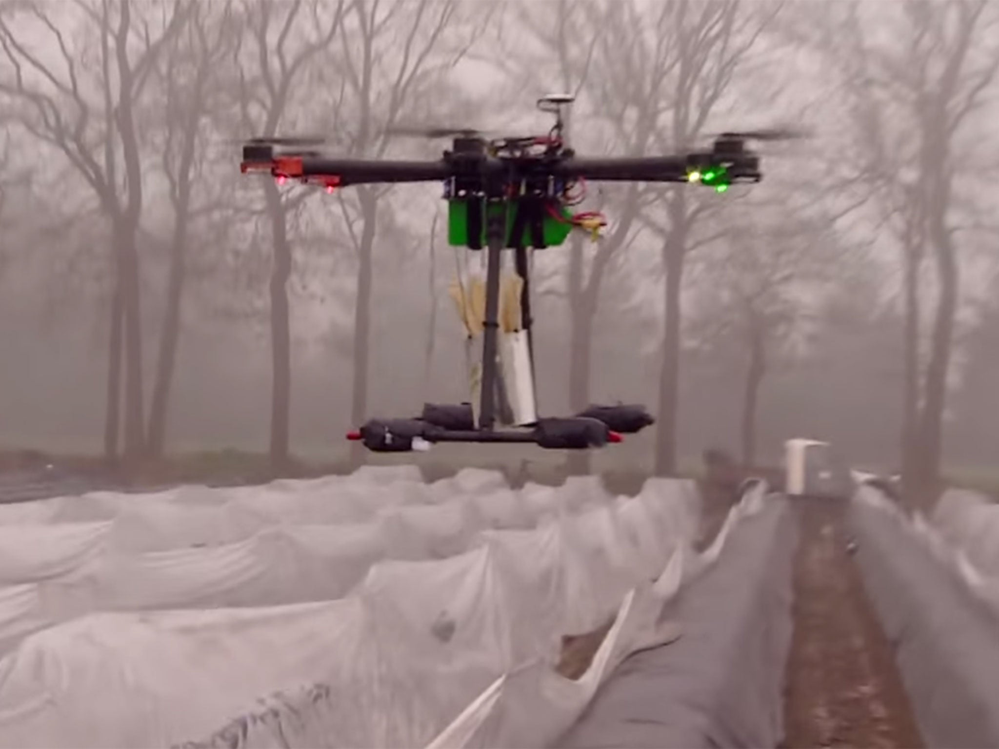 The doomed shipment of asparagus takes to the skies