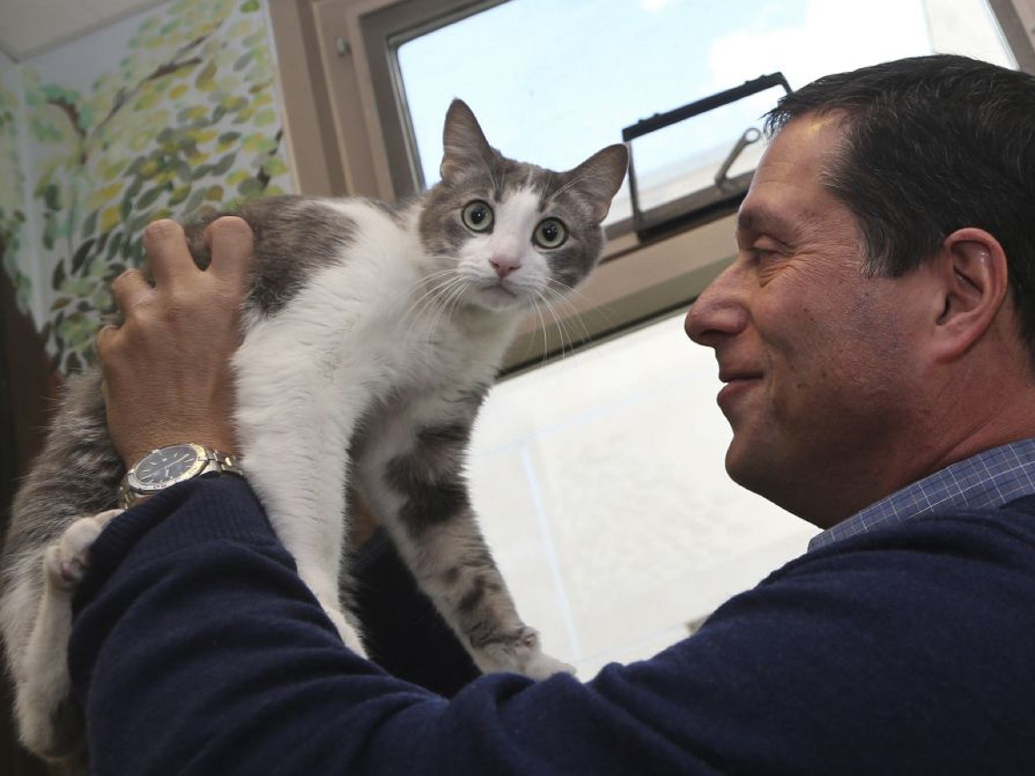 Dr Gary Weitzman with Wesley, a resident of Humane Society shelter