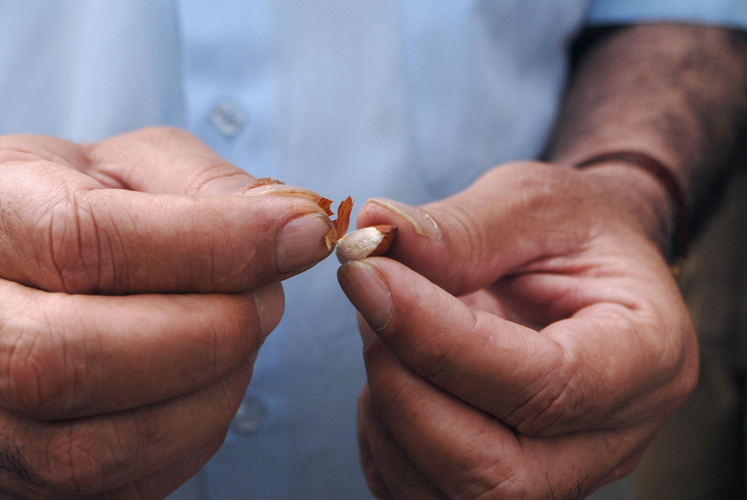 Almonds have been labelled by many as one of the main causes of the droughts in California- the state produces 80% of the world's almonds.