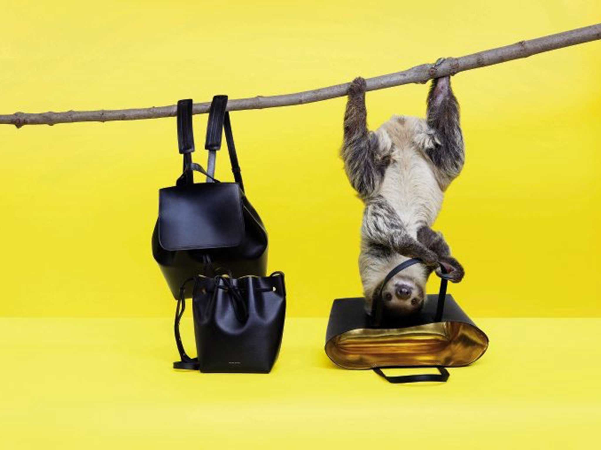 Mansur Gavriel, the luxury handbag company, used a sloth for its Spring 2015 lookbook