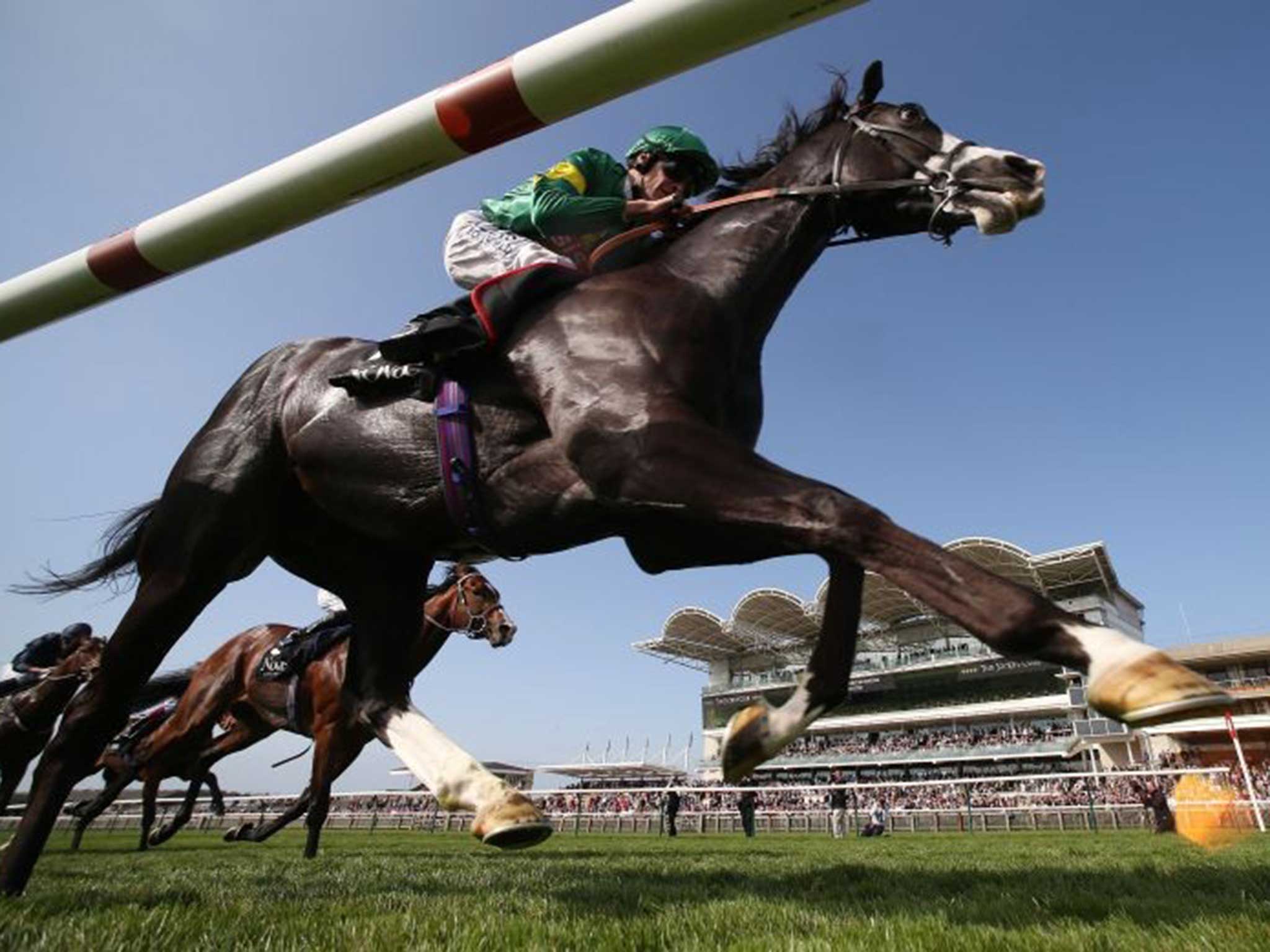 Richard Hughes rides Kool Kompany to victory at Newmarket