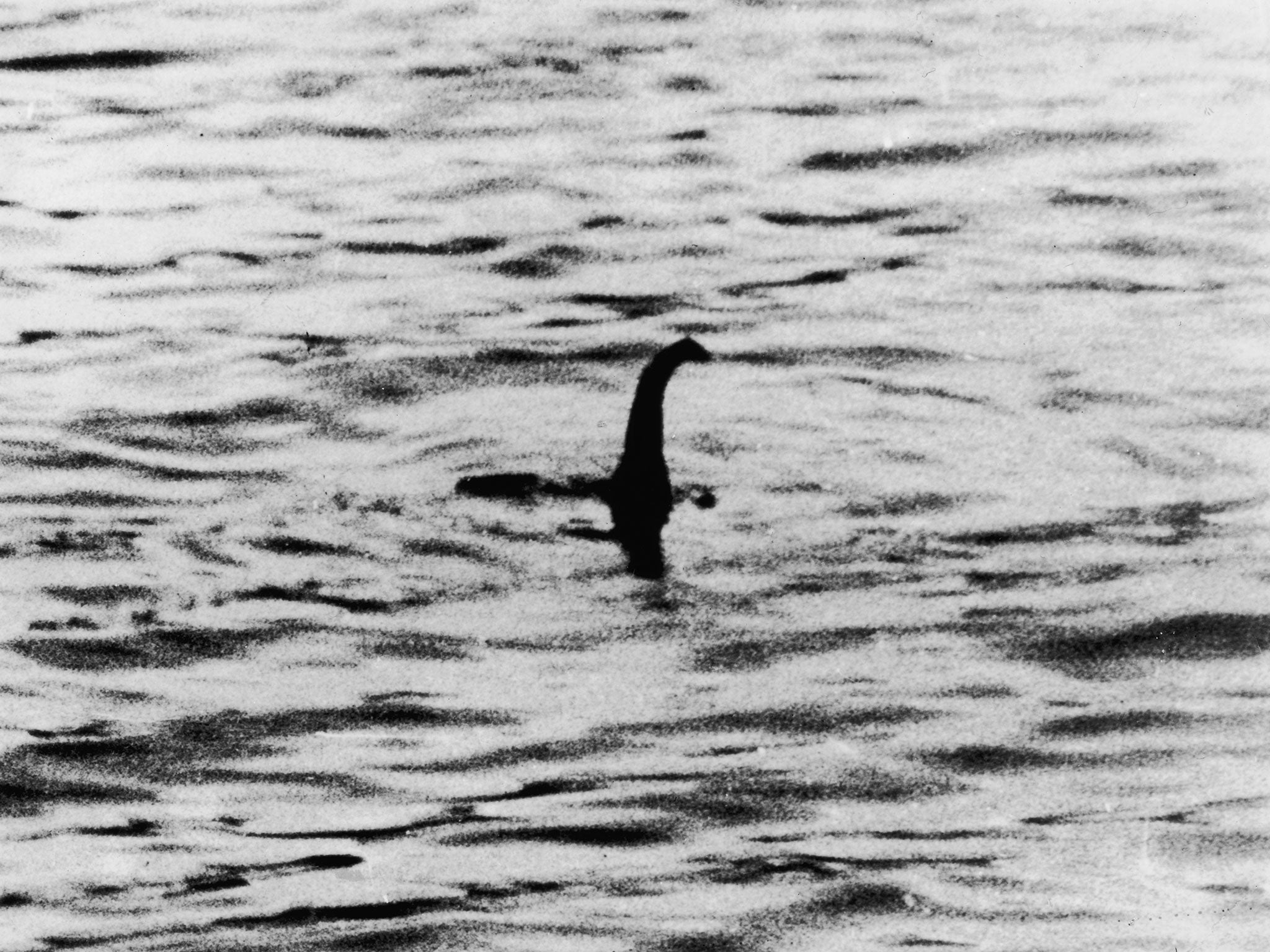 This photograph of the Loch Ness Monster, one of two pictures known as the 'surgeon's photographs,' was allegedly taken by Colonel Robert Kenneth Wilson, though it was later exposed as a hoax (Getty)